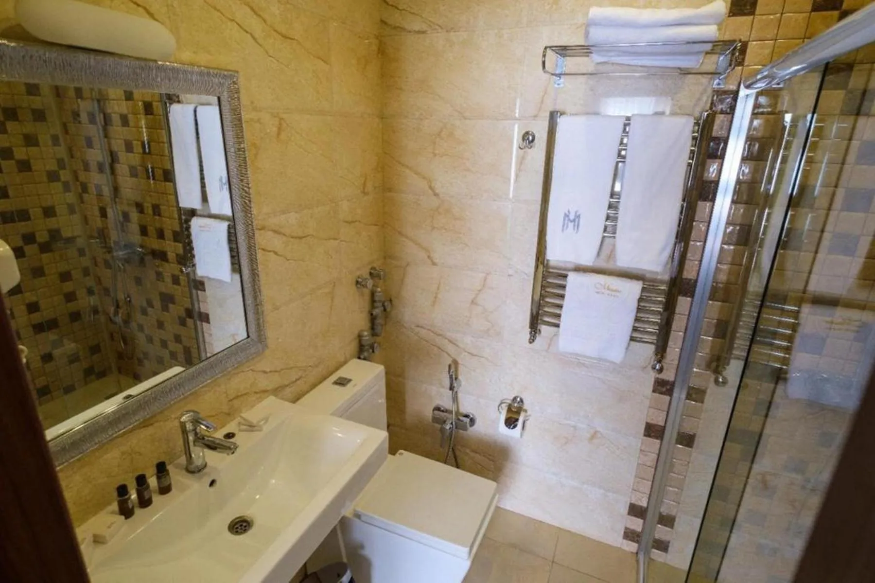 Shower in Maestro Hotel