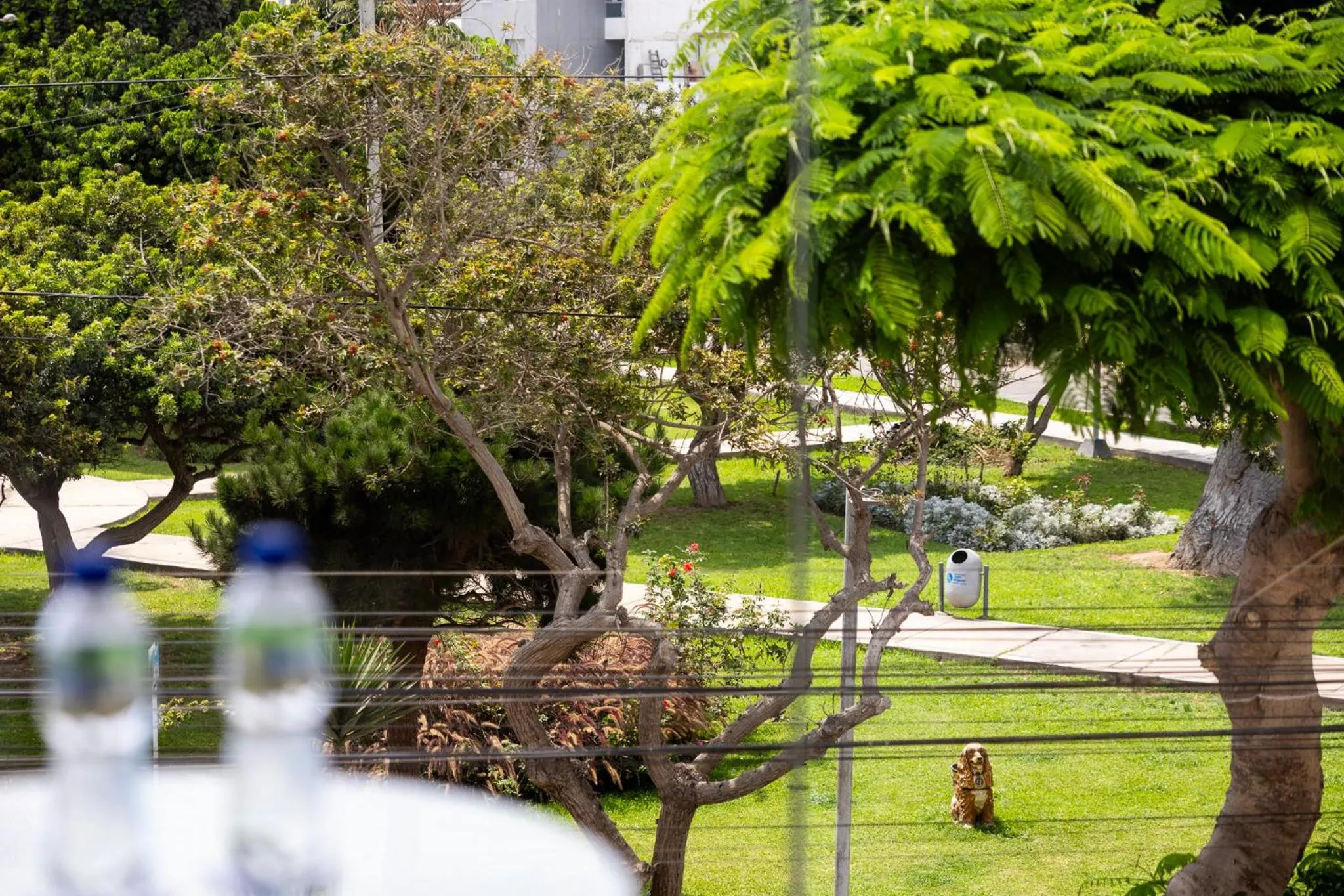 San Miguel Awanka Hotel