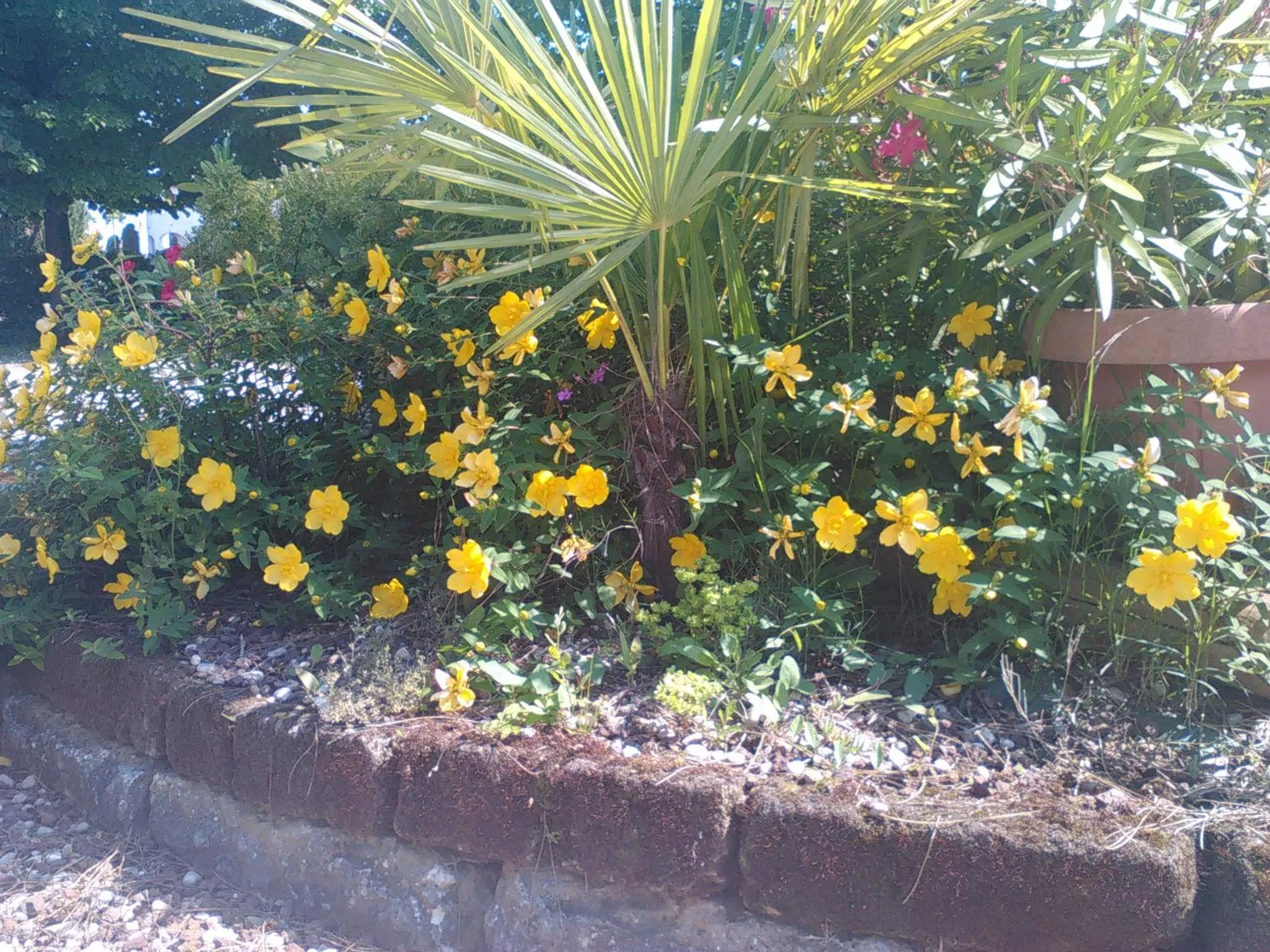 Garden view in Albergo Grifone 1891