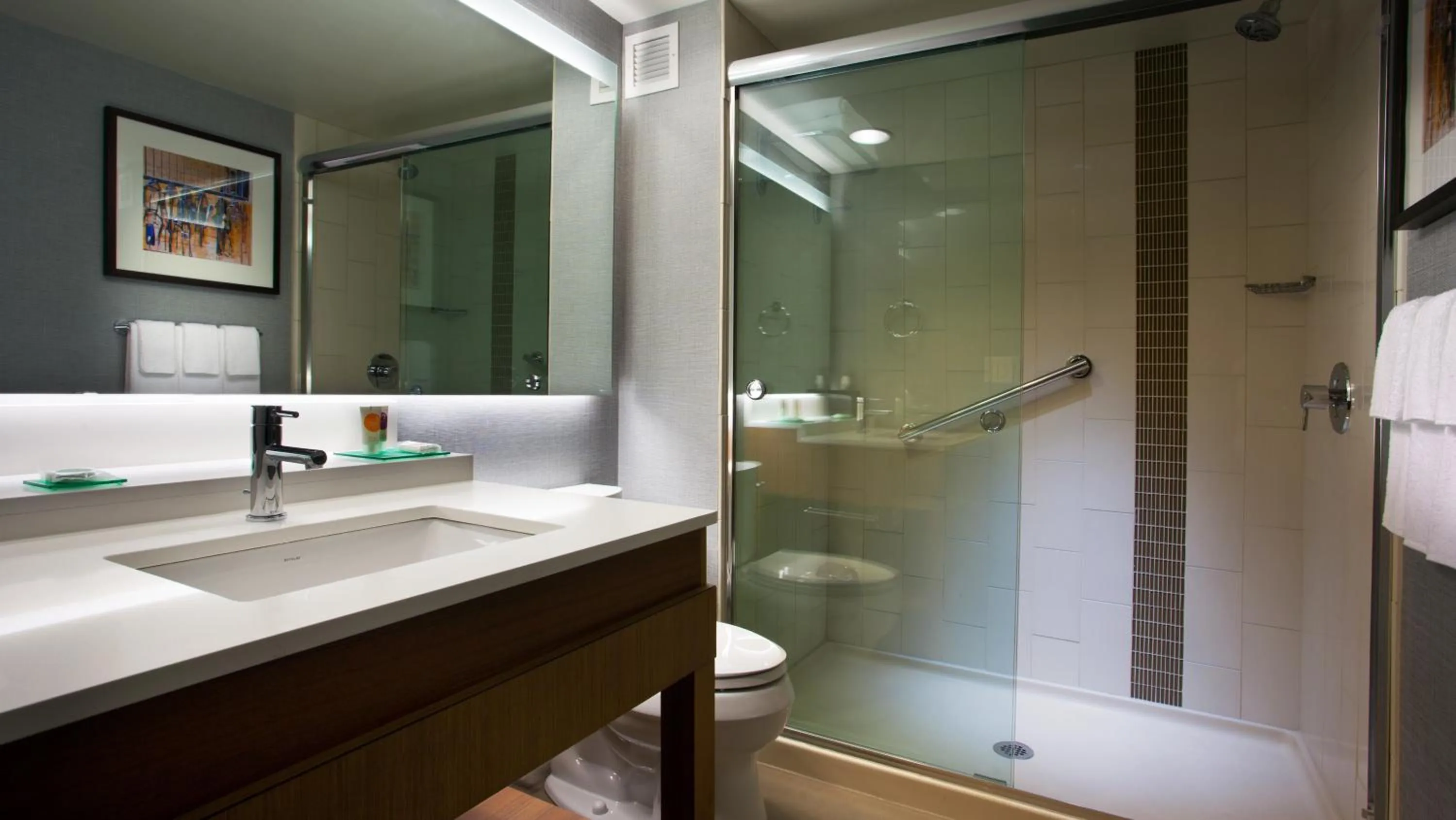 Shower in Hyatt Place at The Hollywood Casino Pittsburgh South