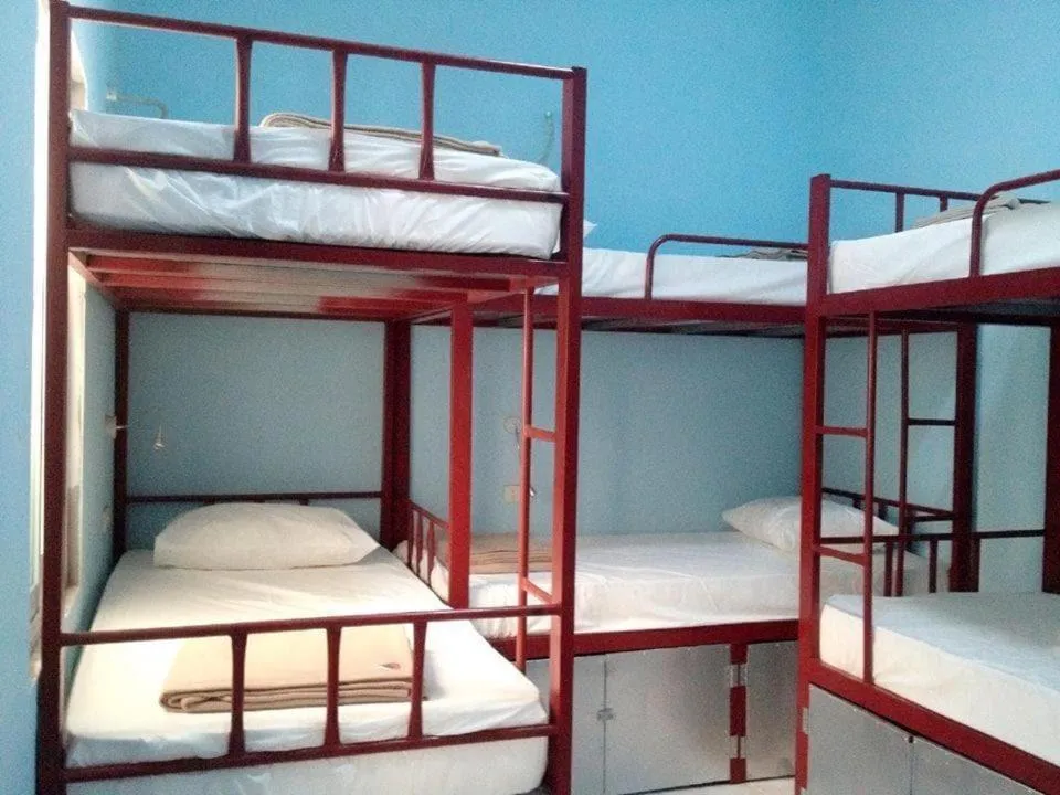 Bed in Lucky Backpacker Hostel