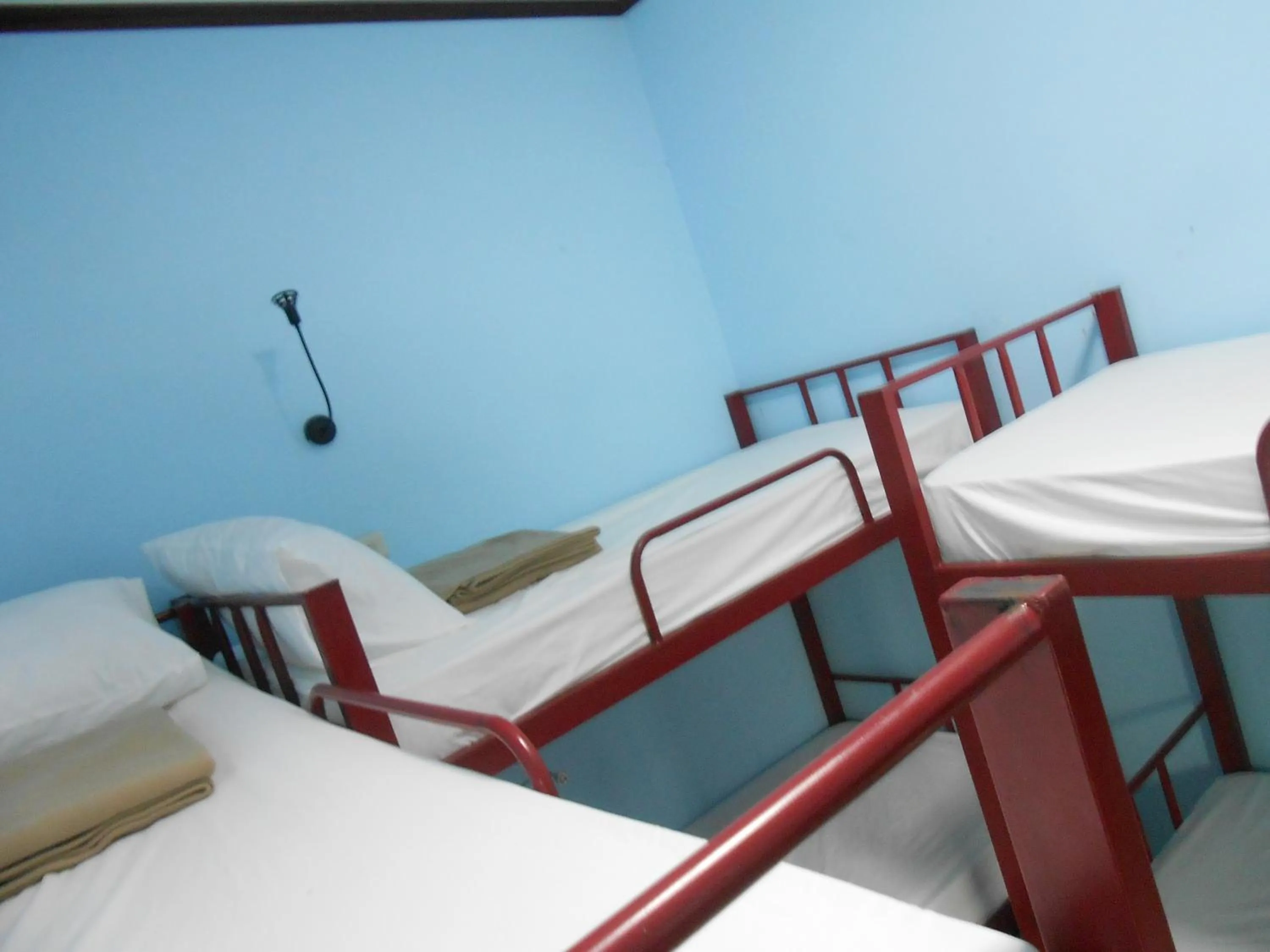 bunk bed, Bed in Lucky Backpacker Hostel