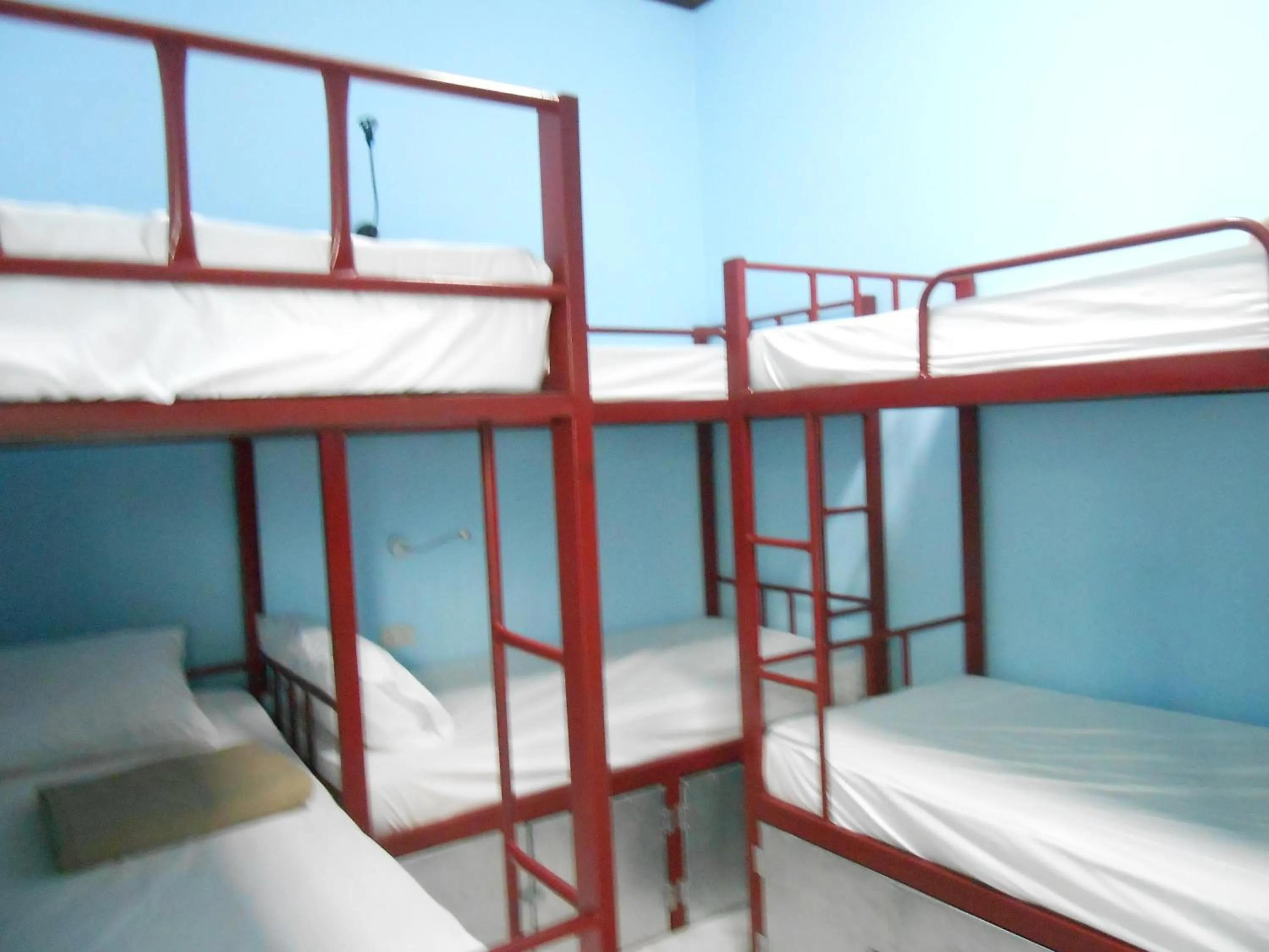 Bed in Lucky Backpacker Hostel