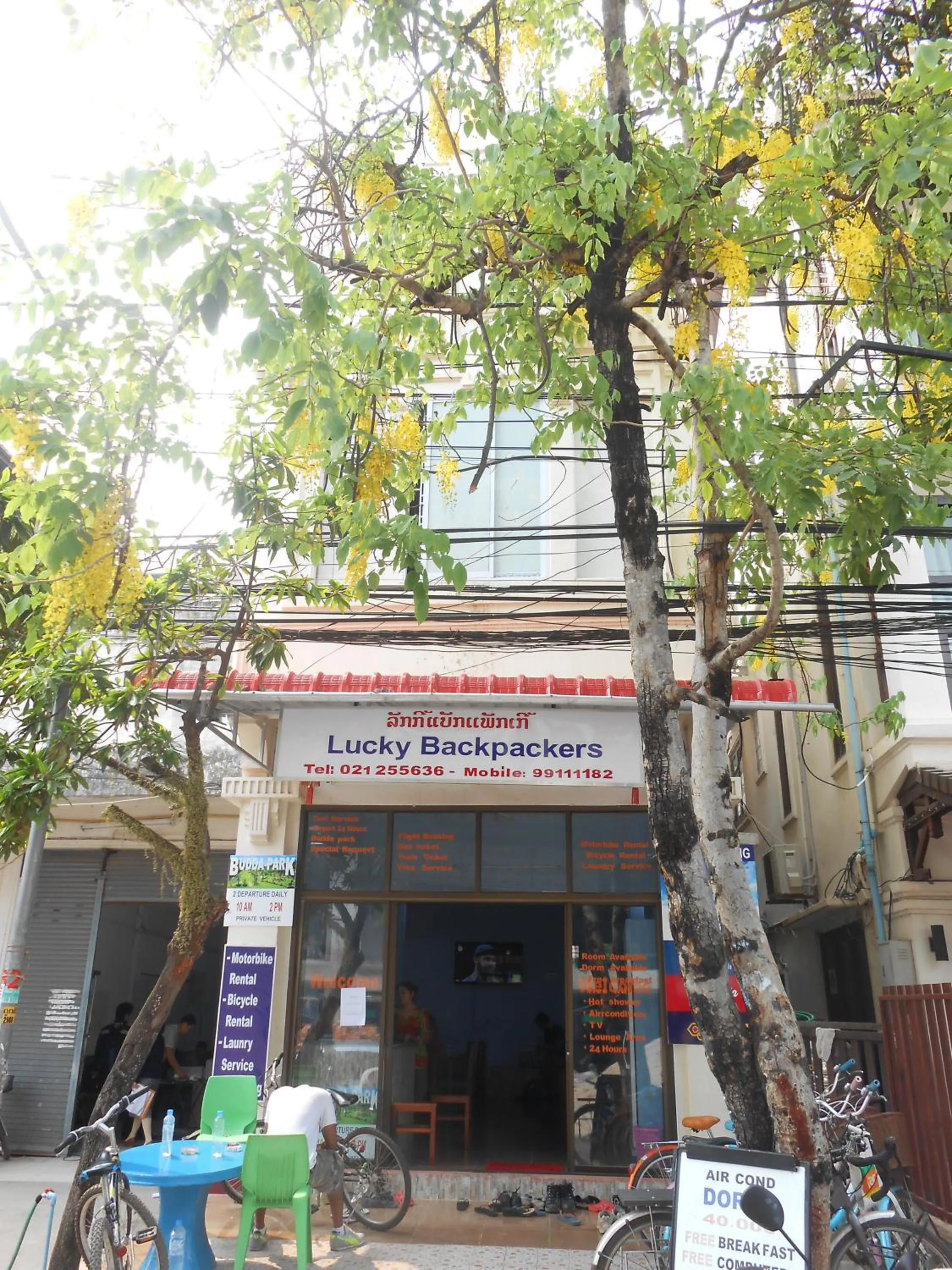 Property logo or sign in Lucky Backpacker Hostel