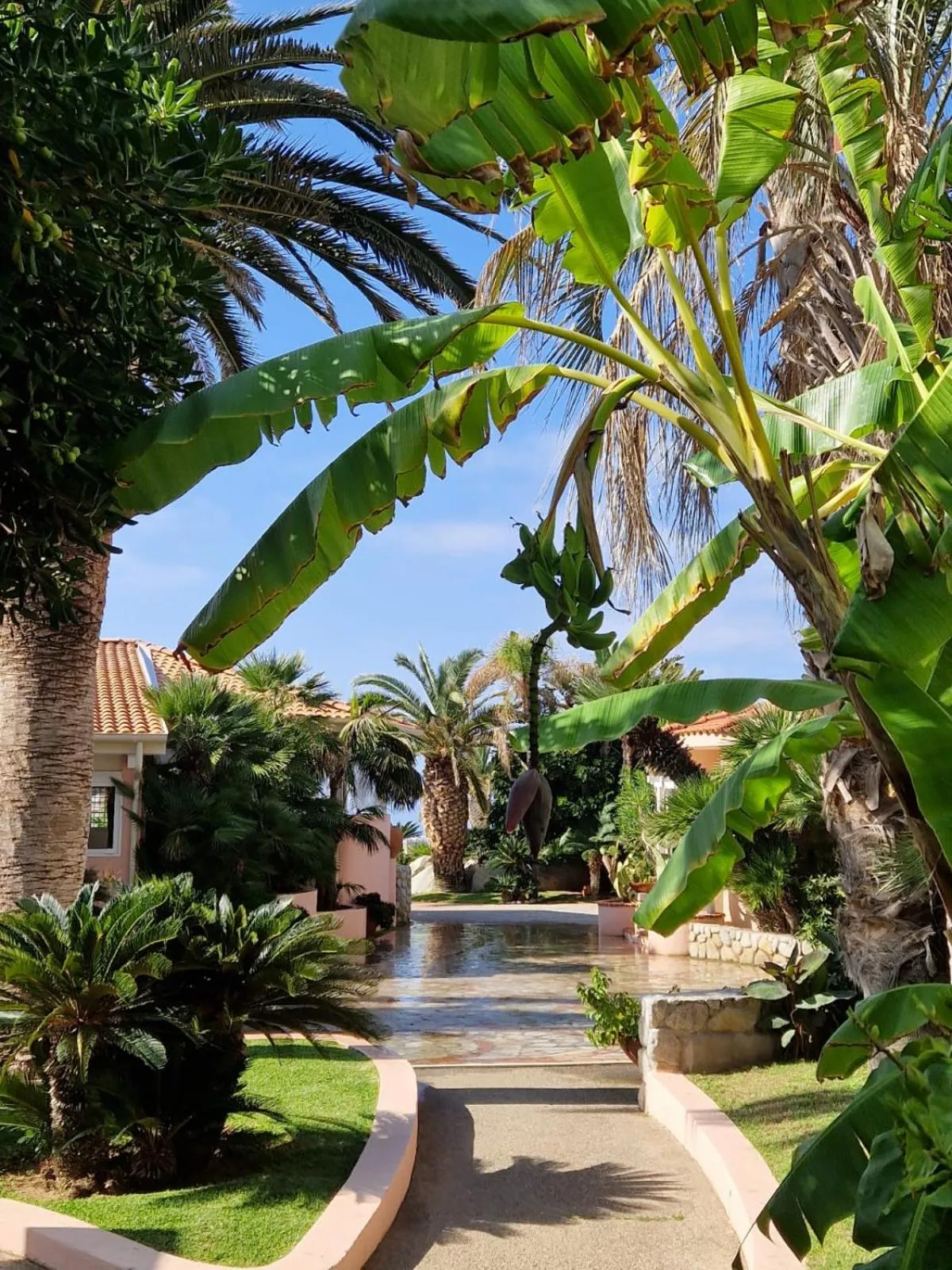 Garden view in Hotel Villaggio Cala Di Volpe
