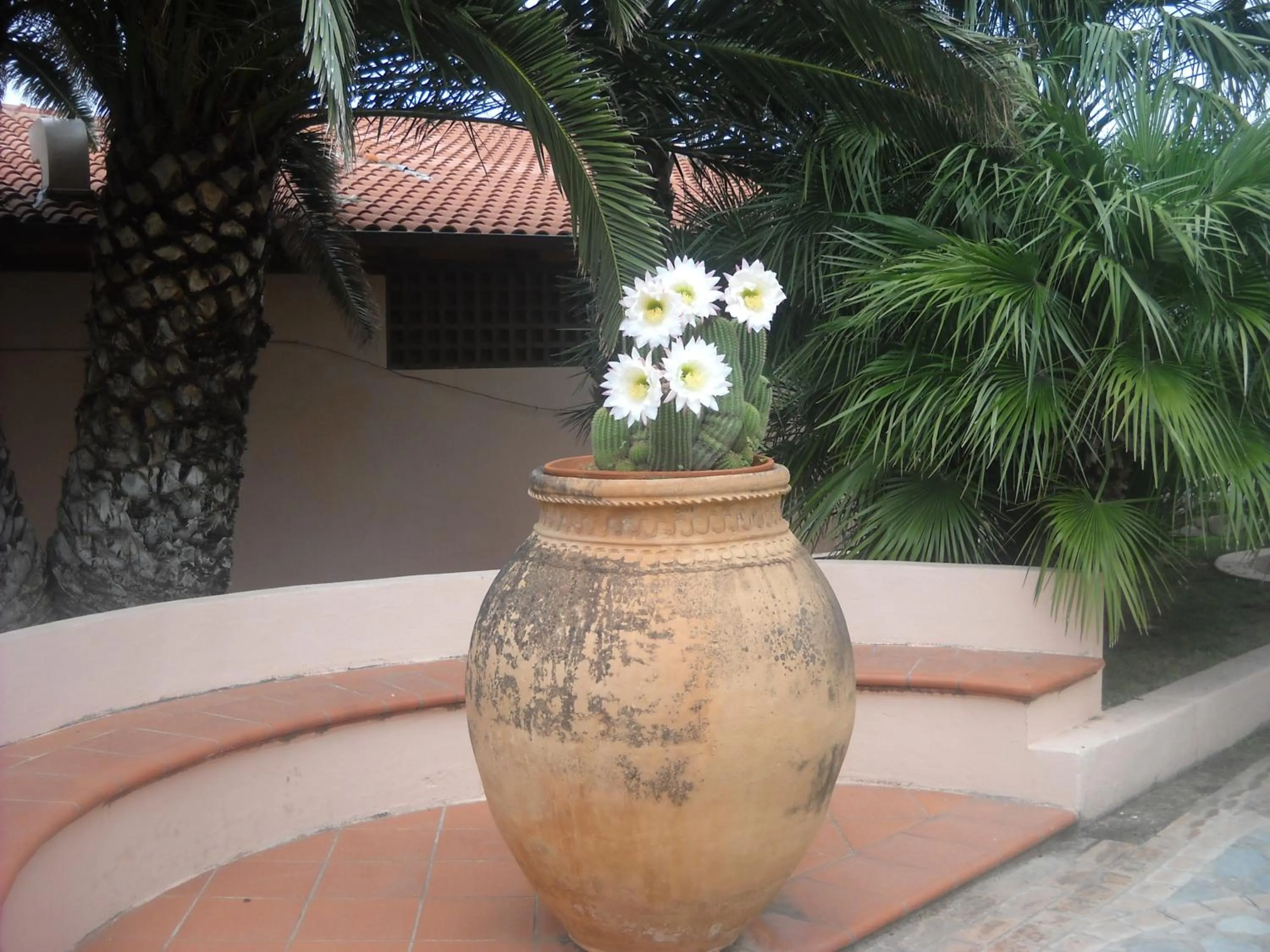 Decorative detail in Hotel Villaggio Cala Di Volpe