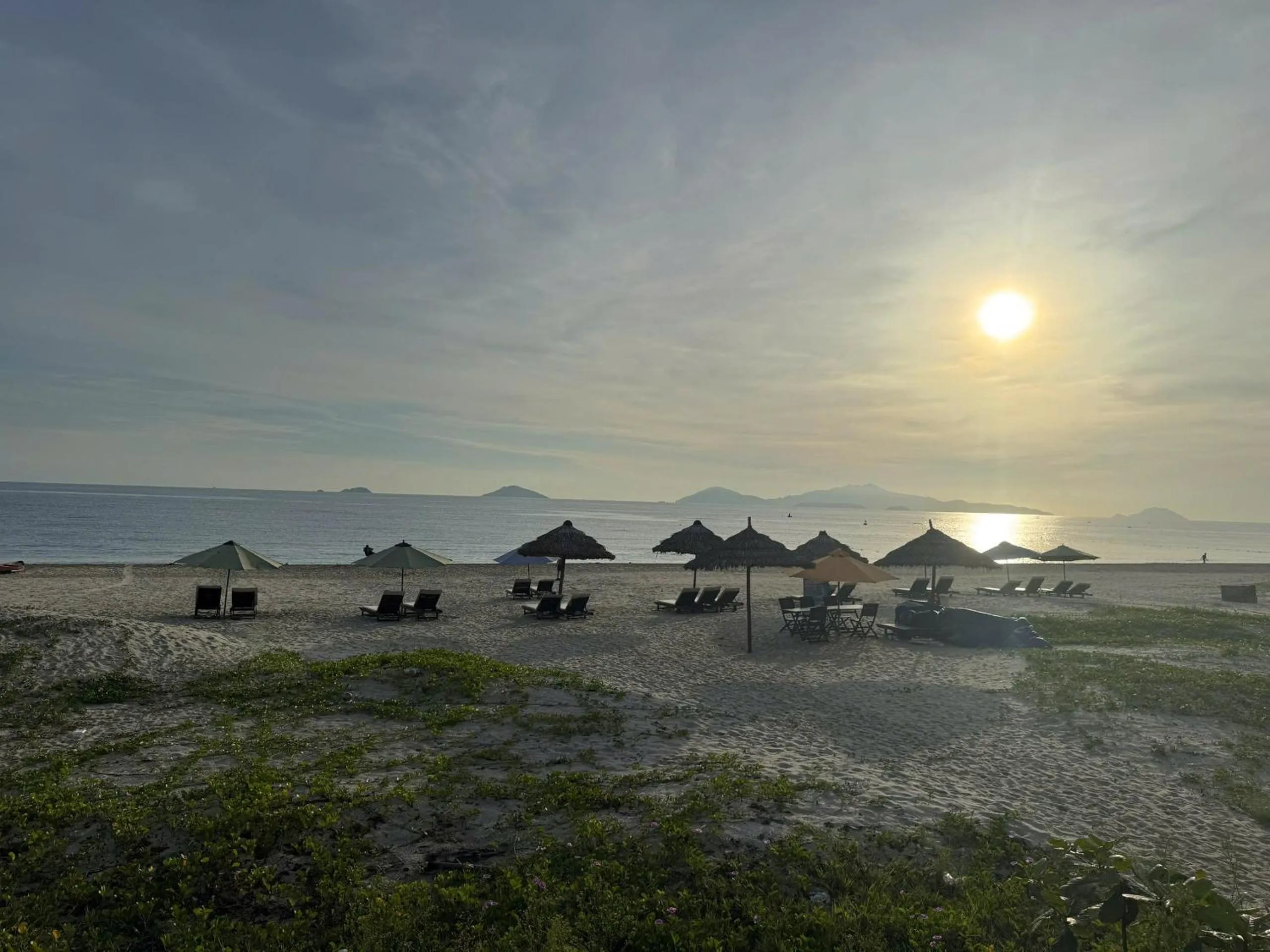 Day in Palm Riverside Boutique