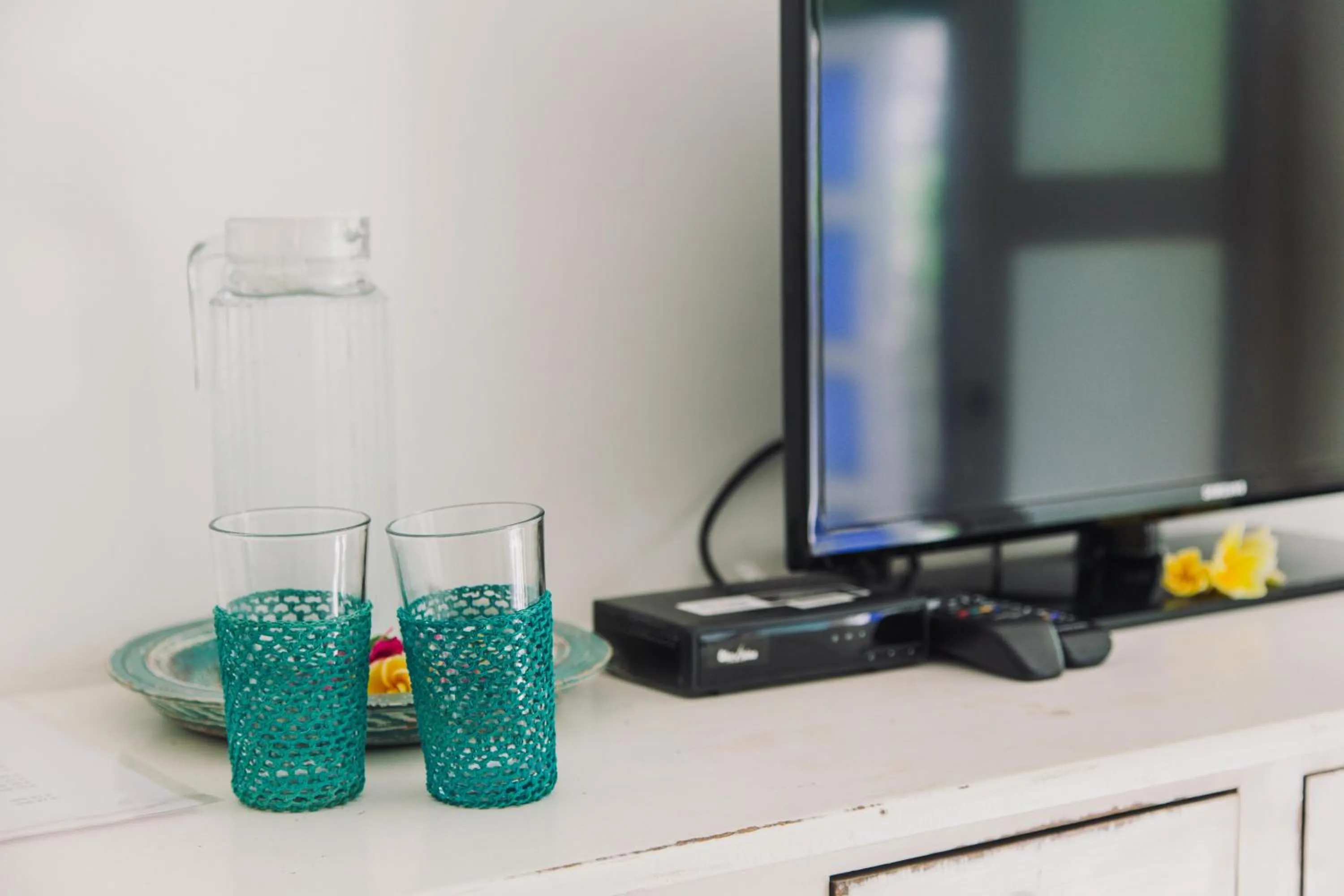 TV and multimedia in Palmeto Village