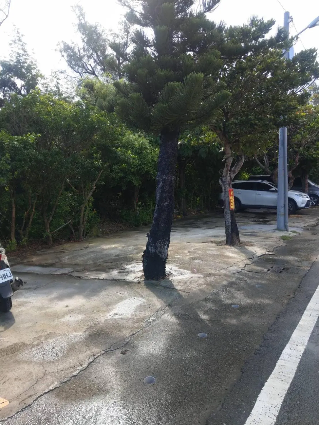 Parking in Xing Ji Bungalow
