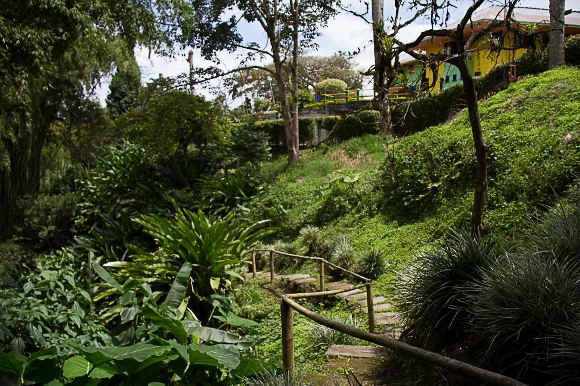 Hiking in Ecohotel La Casona Pereira