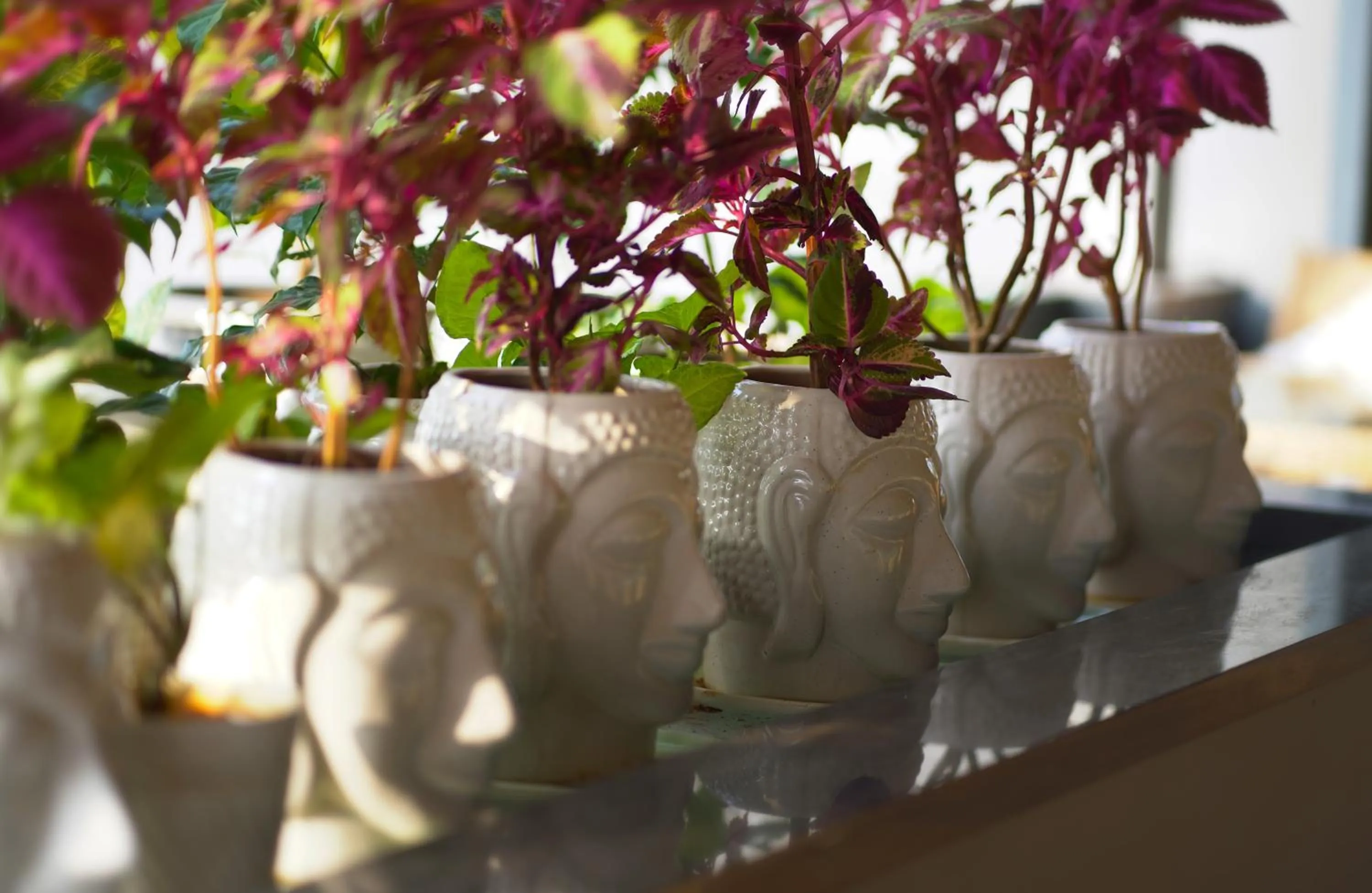 Garden view in Sai Maa Hotel & Residency