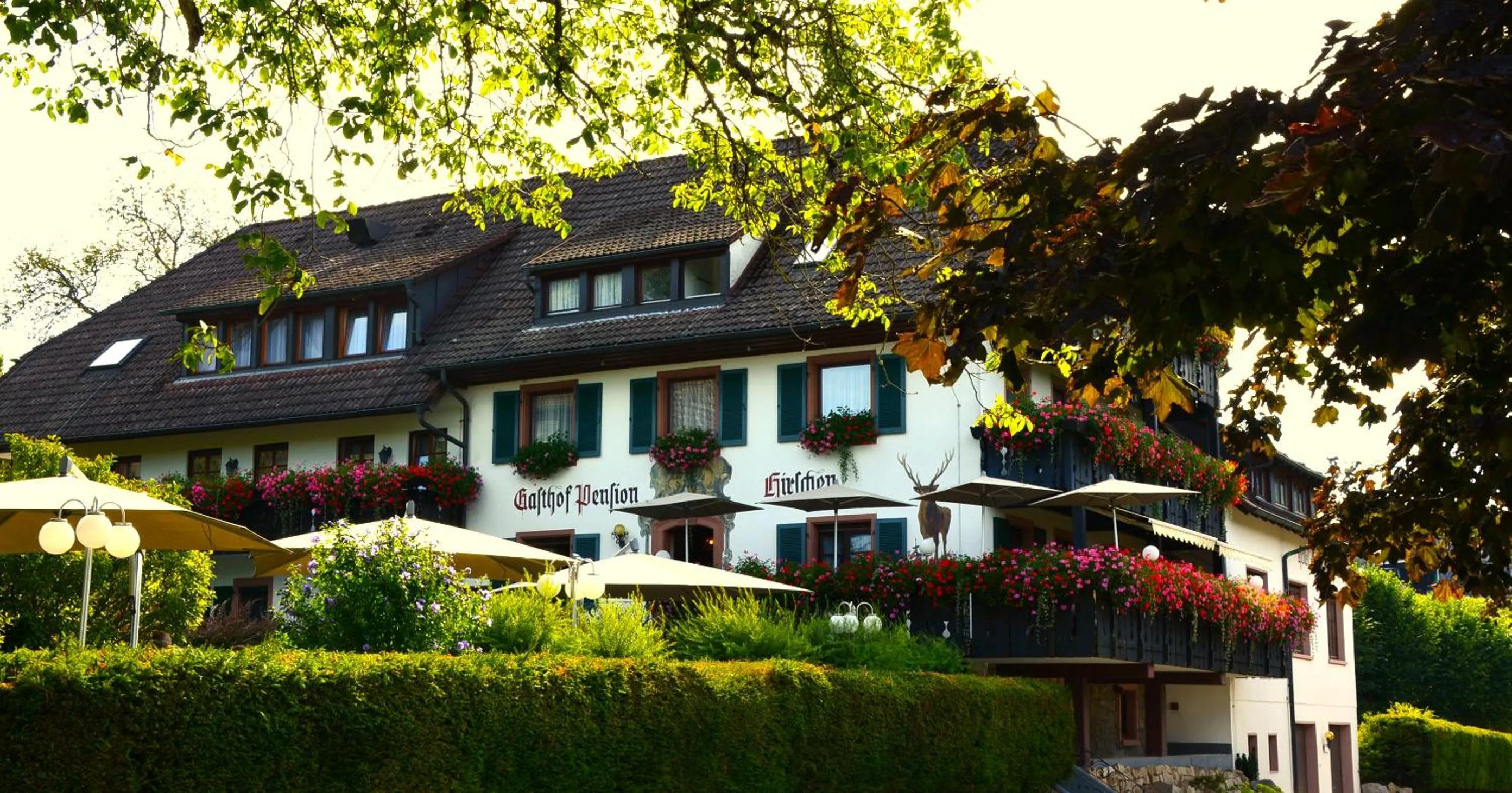 Facade/entrance in Genusshotel Hirschen - Erholung im Grünen (Südschwarzwald)