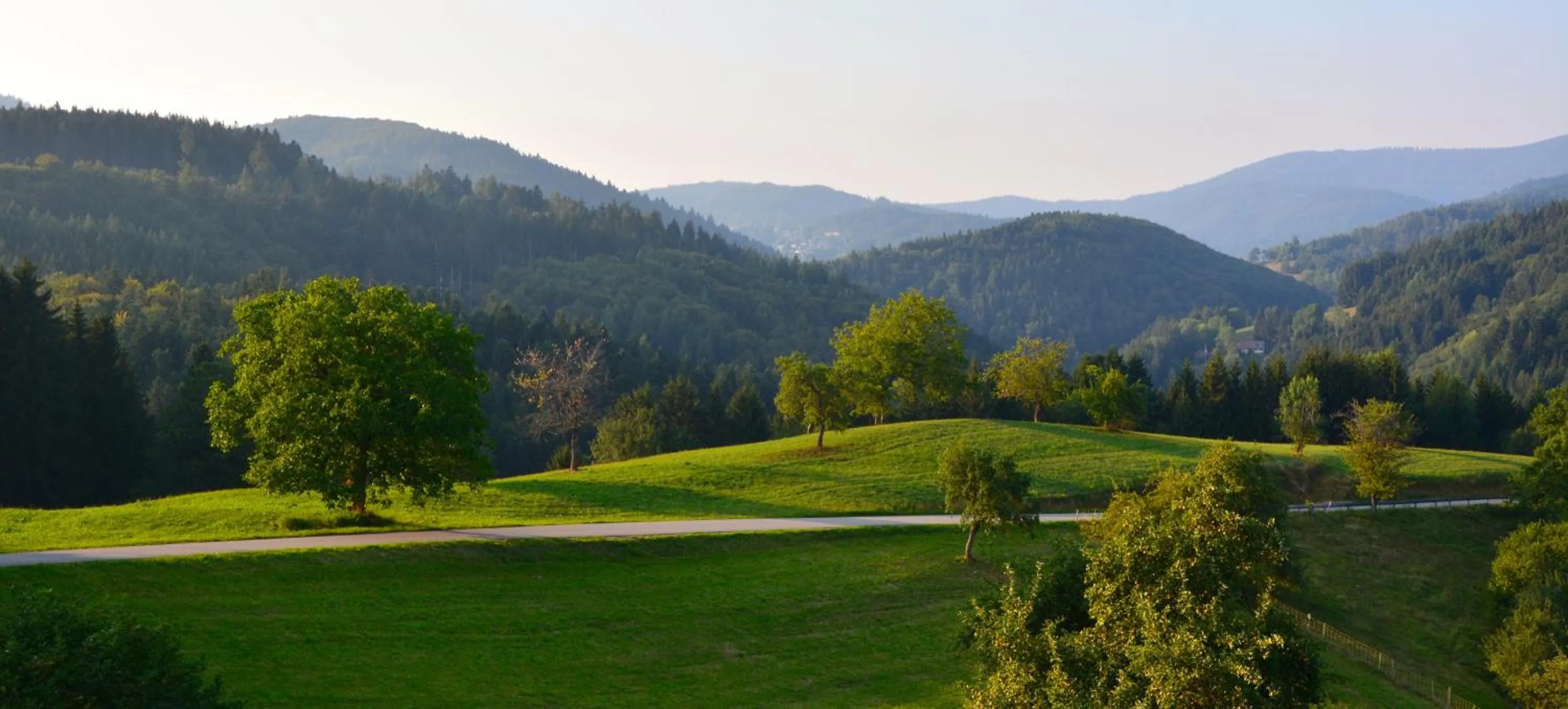 Natural landscape in Genusshotel Hirschen - Erholung im Grünen (Südschwarzwald)