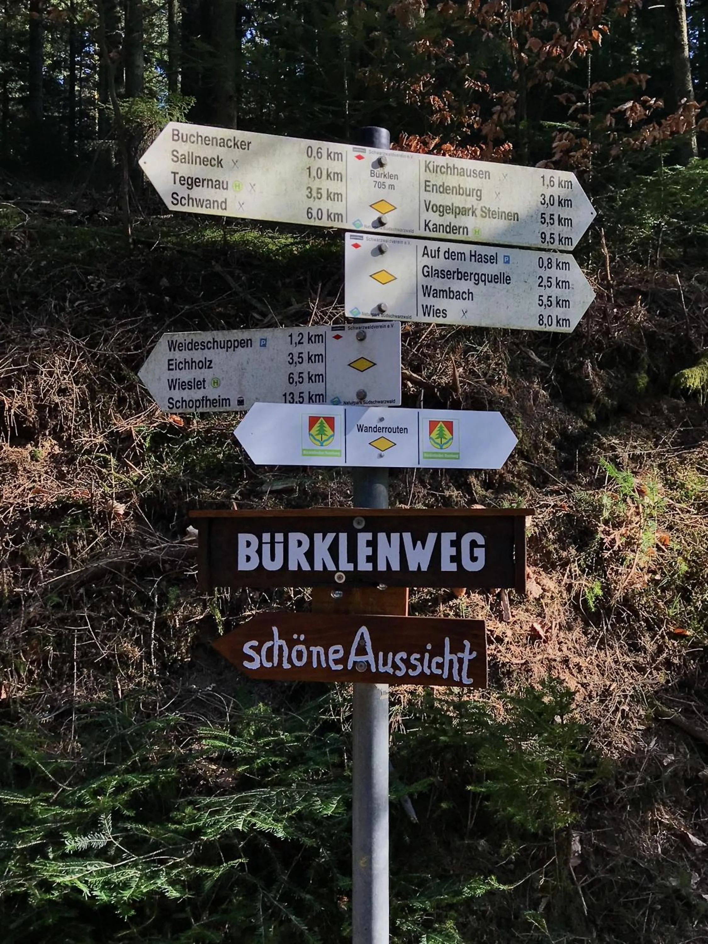 Hiking in Genusshotel Hirschen - Erholung im Grünen (Südschwarzwald)
