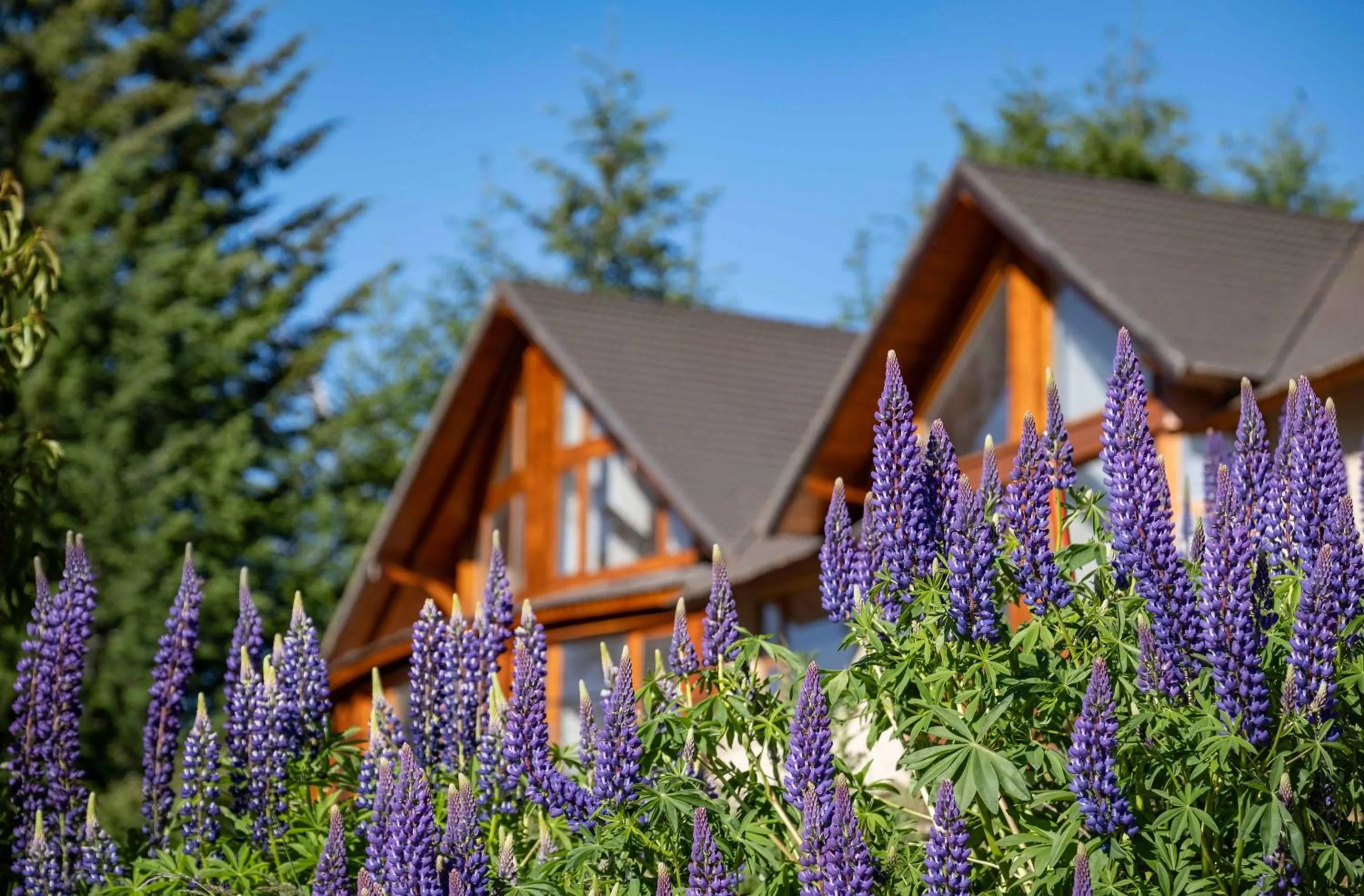 Property building in Puerto Manzano Boutique Hotel