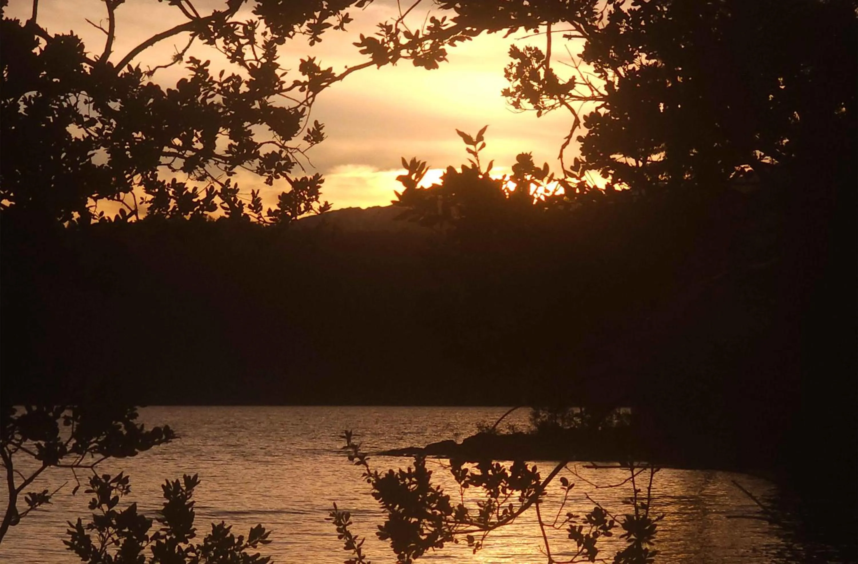 Day in Puerto Manzano Boutique Hotel