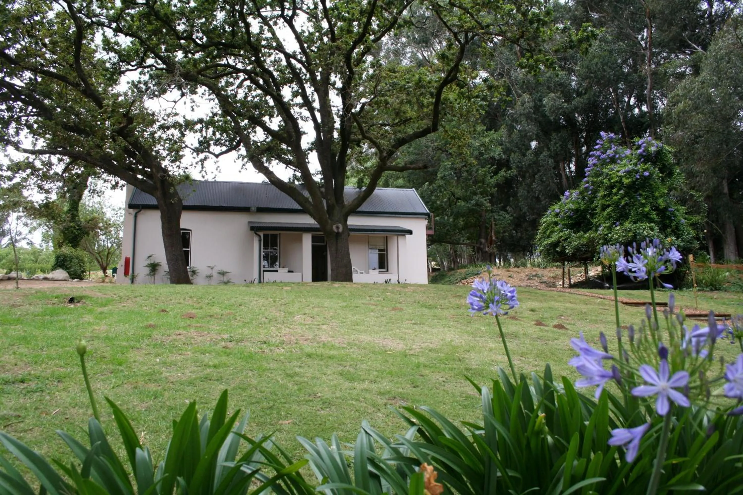 Property building in Diemersfontein Wine & Country Estate
