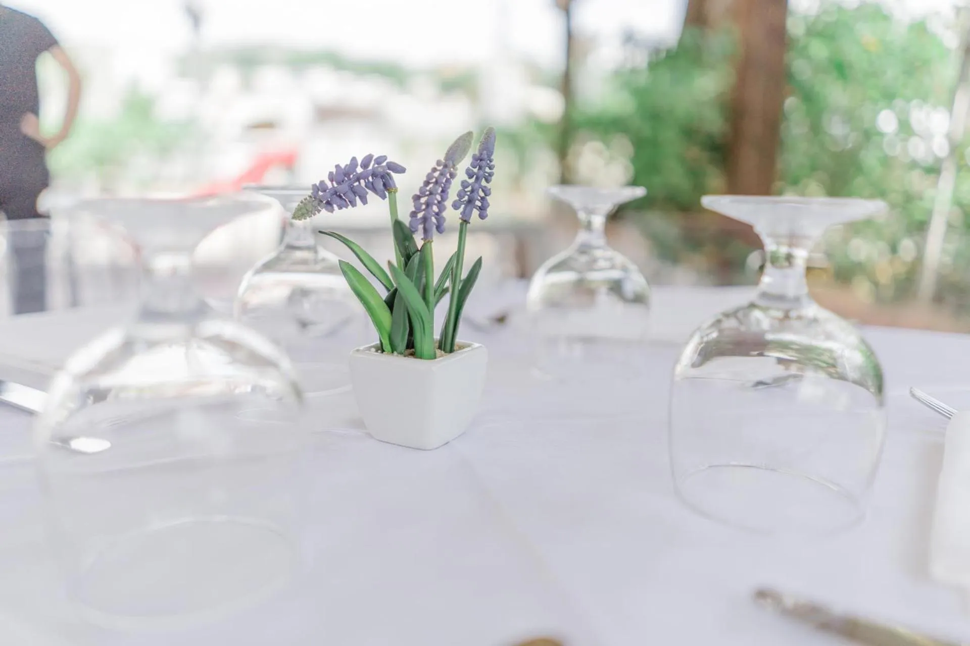 Restaurant/places to eat in Hotel Santa Rosalia