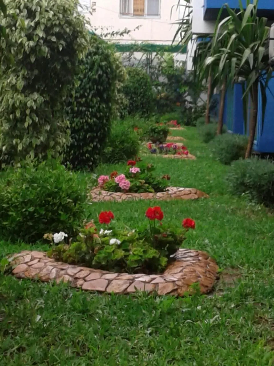 Garden in Hotel Sindibad