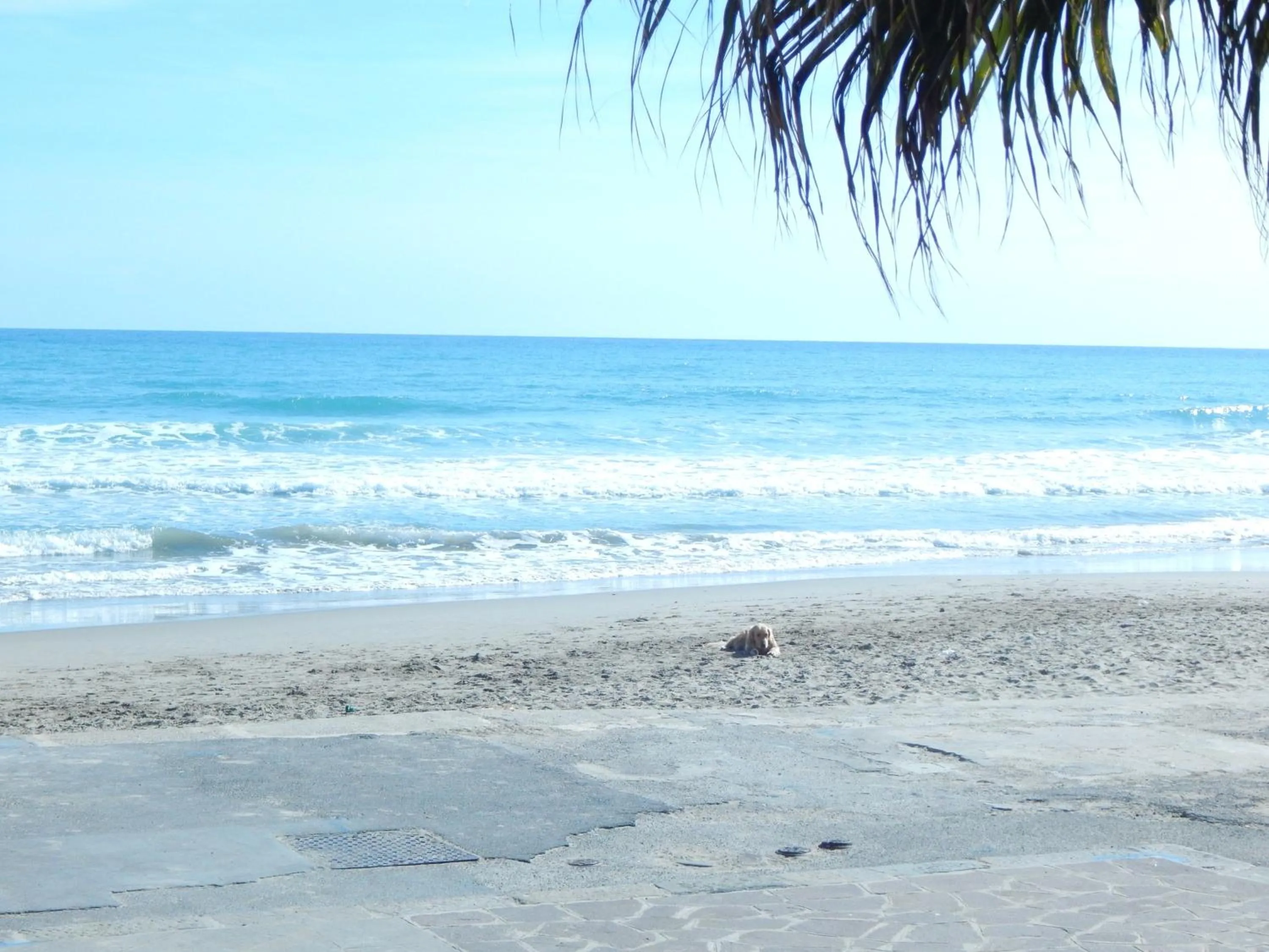 Beach in Residence Perla