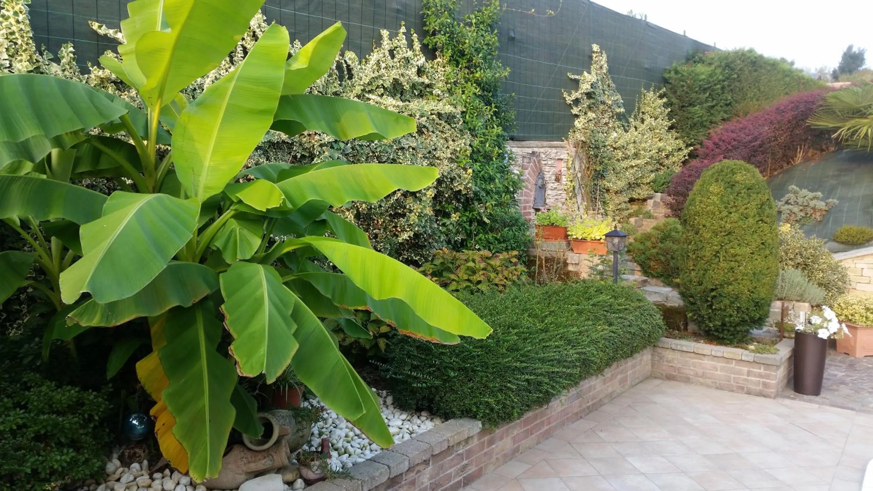 Garden in Villa Laura B&B