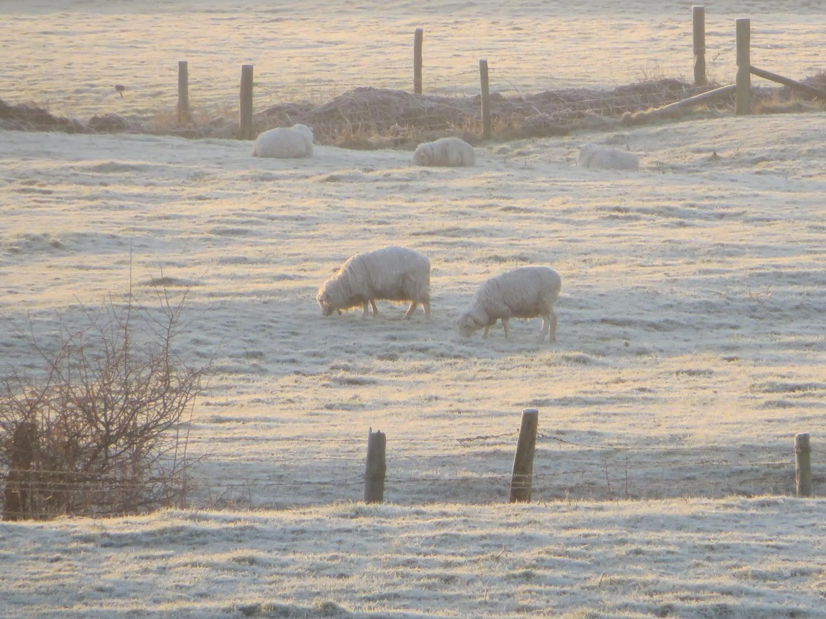 Natural landscape in Arden House