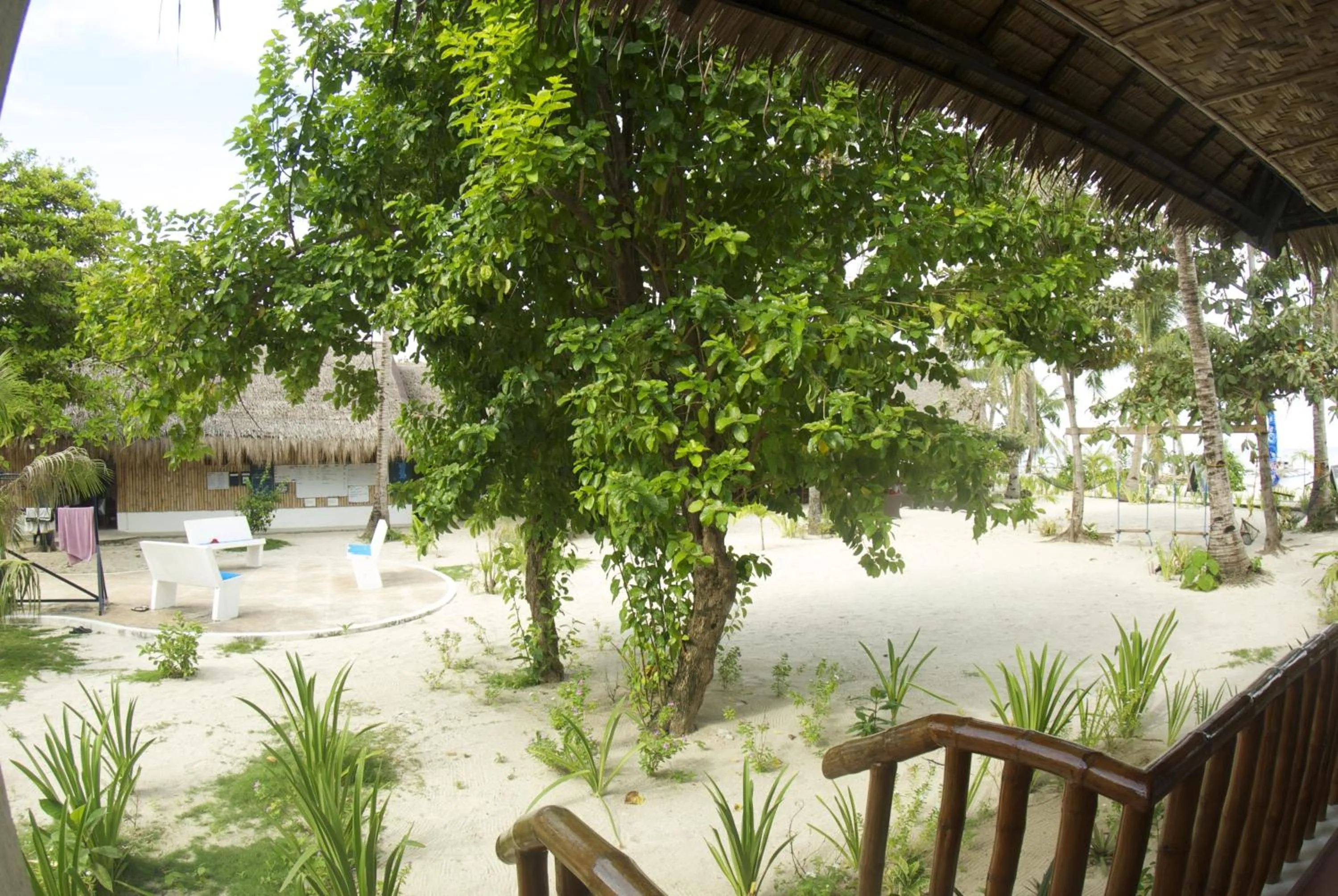 View (from property/room) in Evolution Dive and Beach Resort