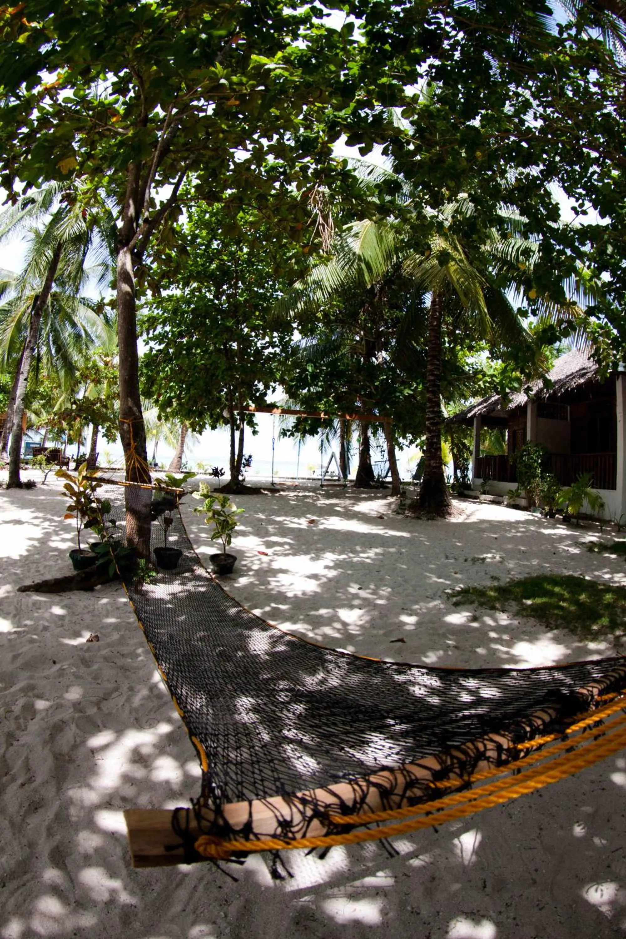 Decorative detail in Evolution Dive and Beach Resort