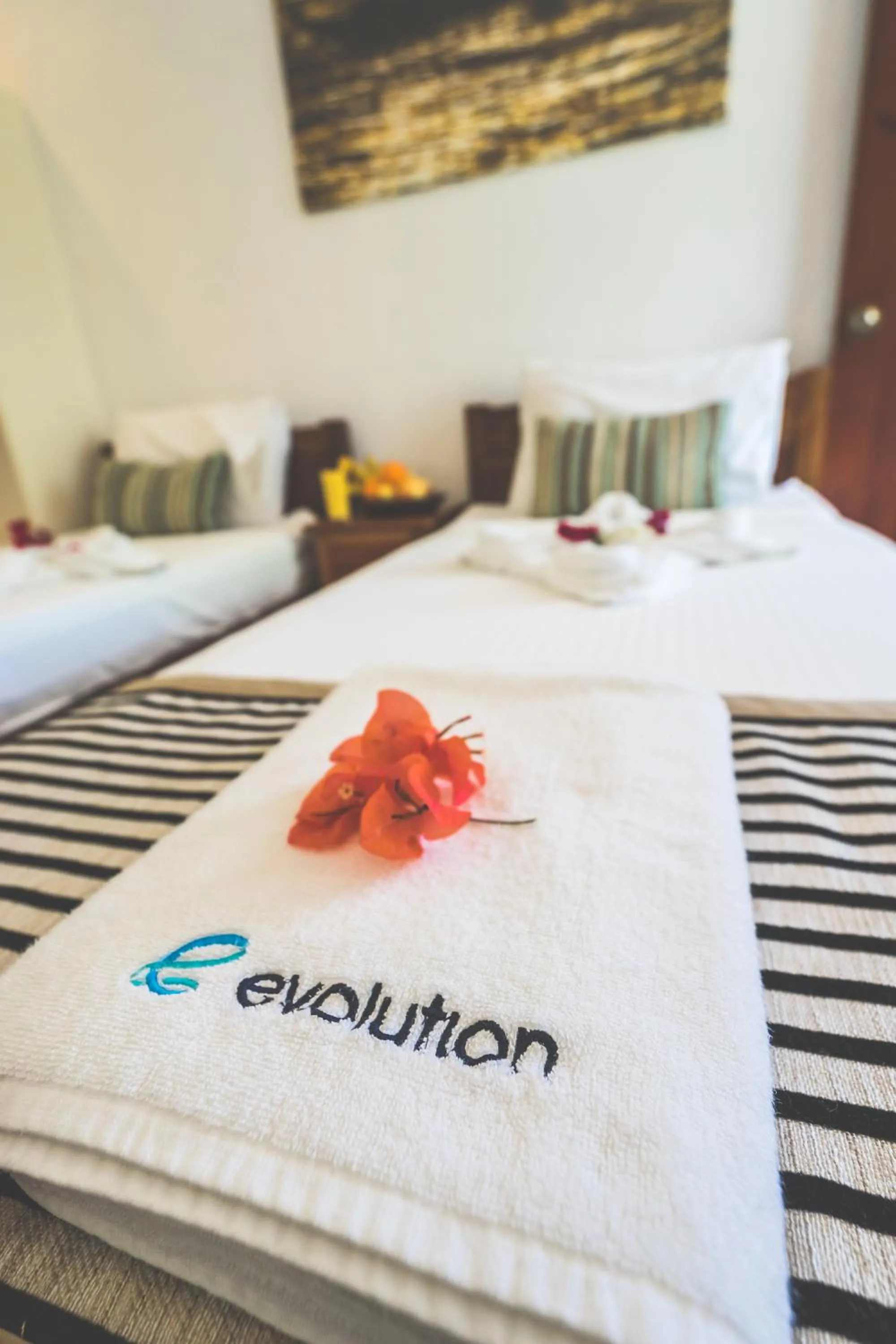 Bedroom, Bed in Evolution Dive and Beach Resort