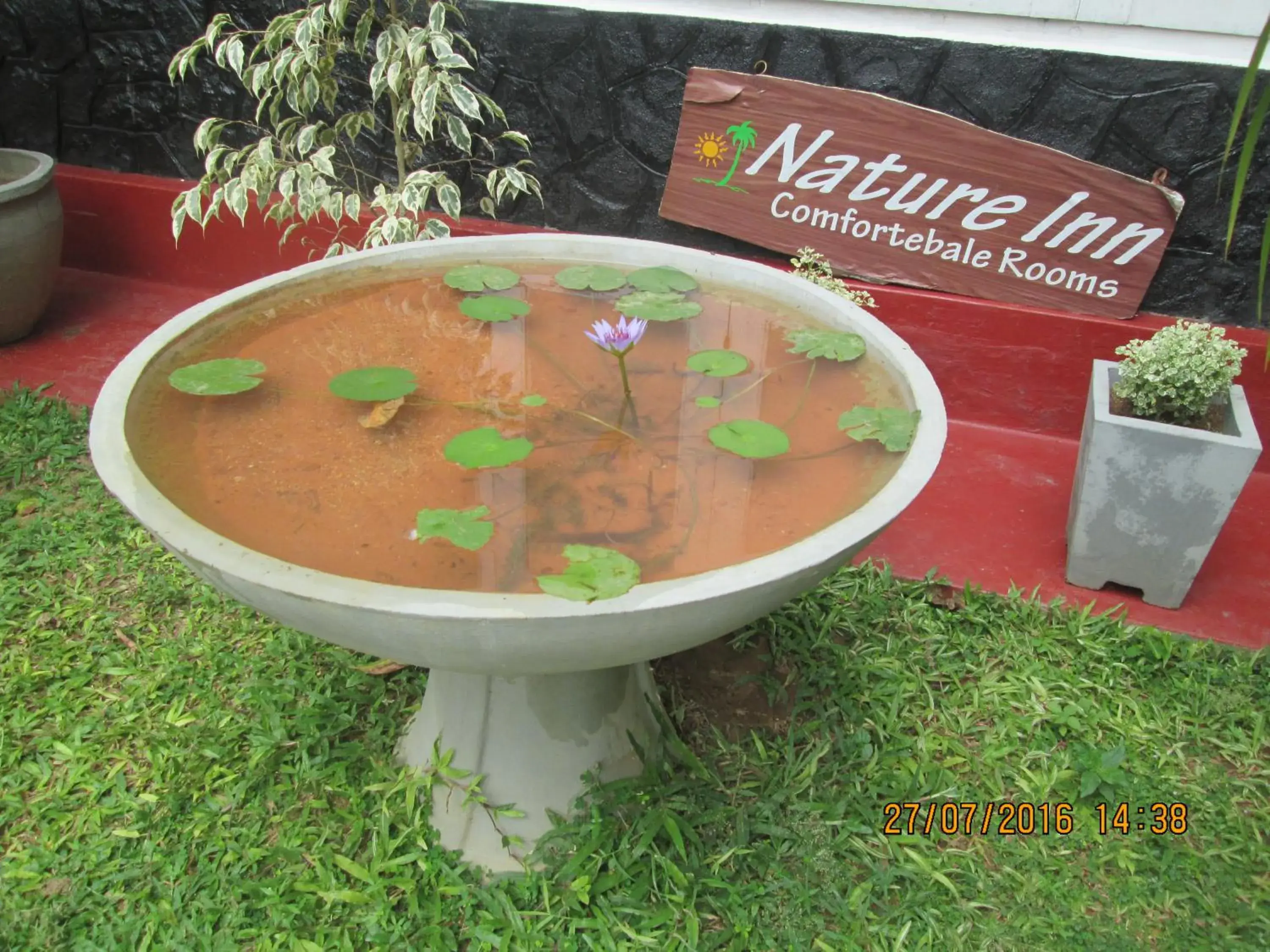 Queen Room with Garden View - single occupancy in Nature Inn Queen Room with Garden View - single occupancy in Nature Inn