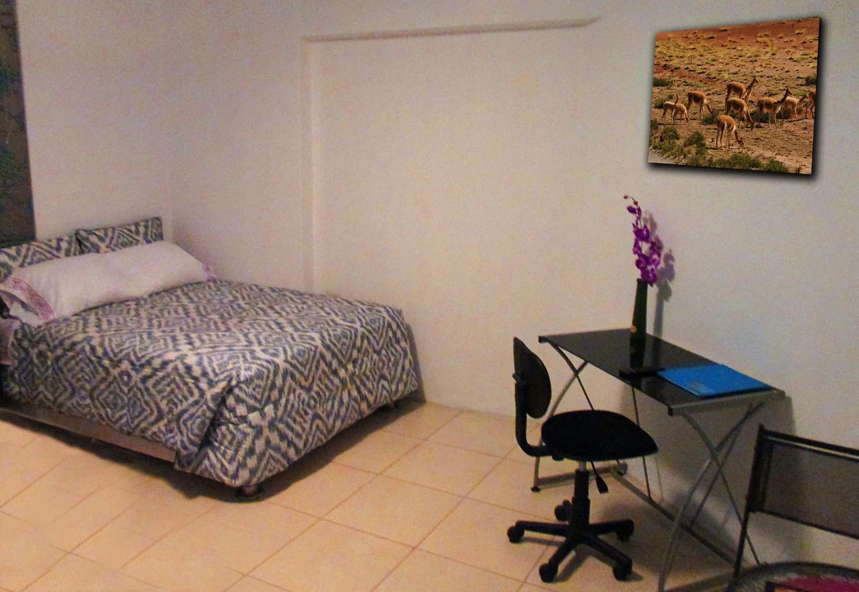 Shower, Bed in Magicperu Apart Hotel