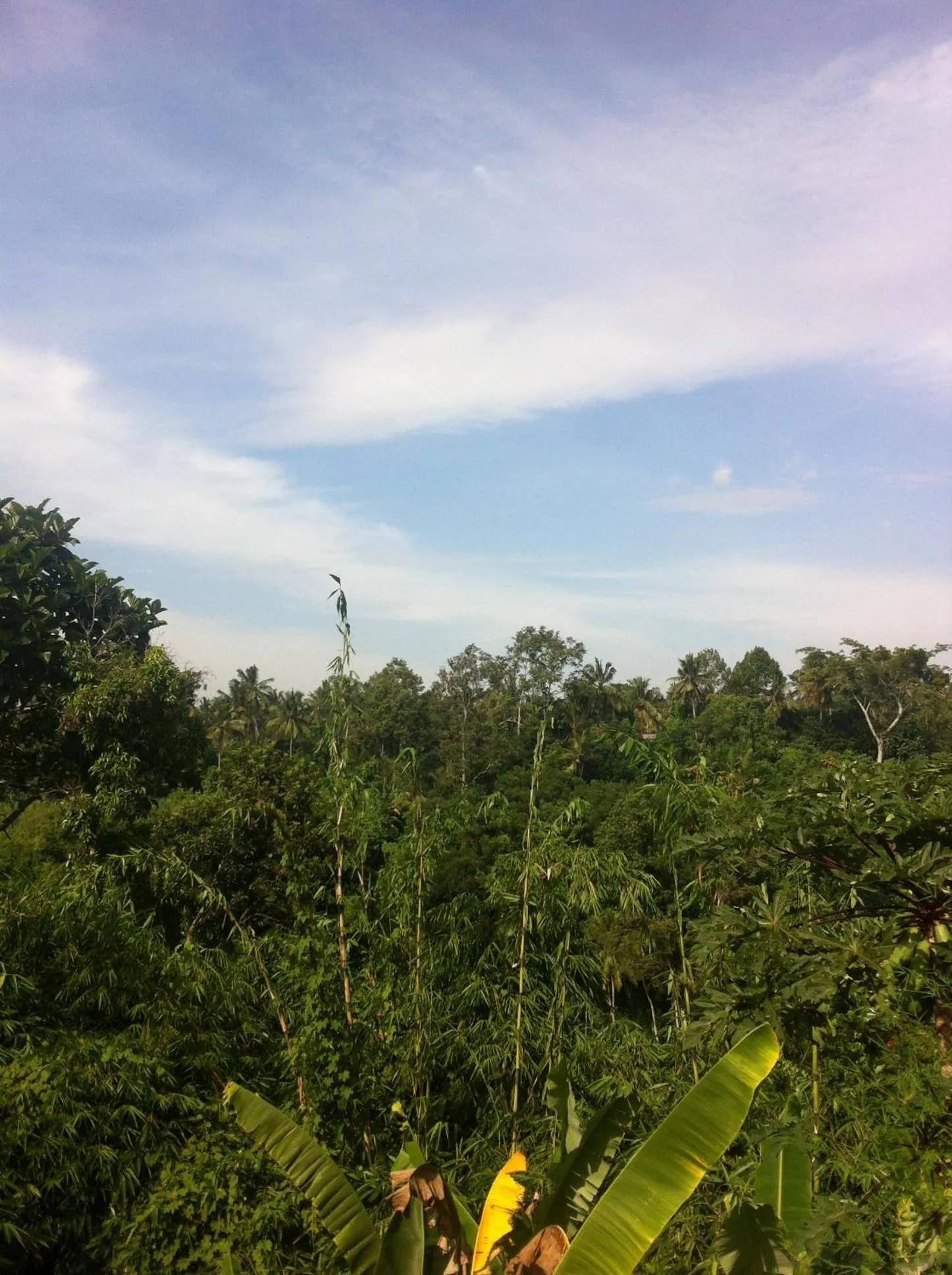Landmark view in Pondok Bali