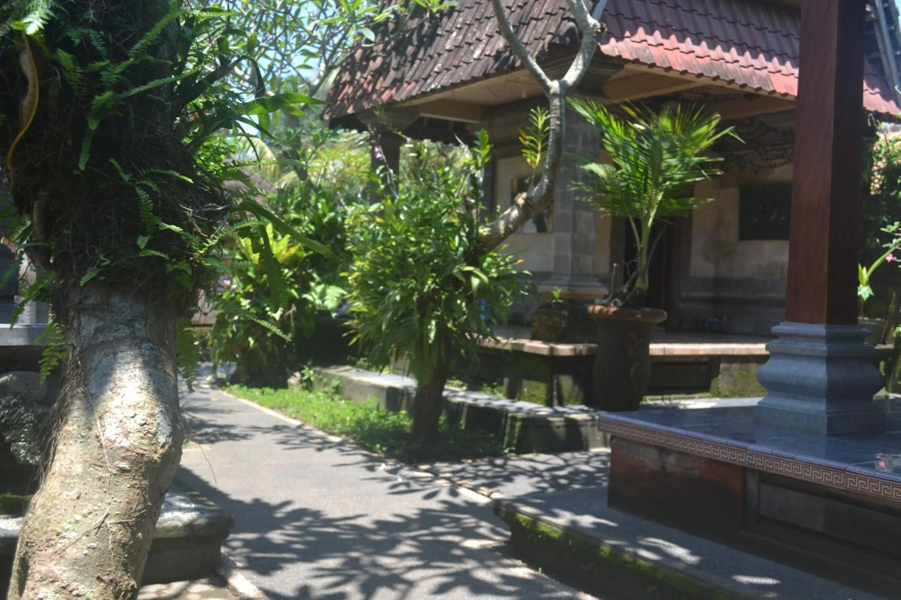 Area and facilities in Pondok Bali