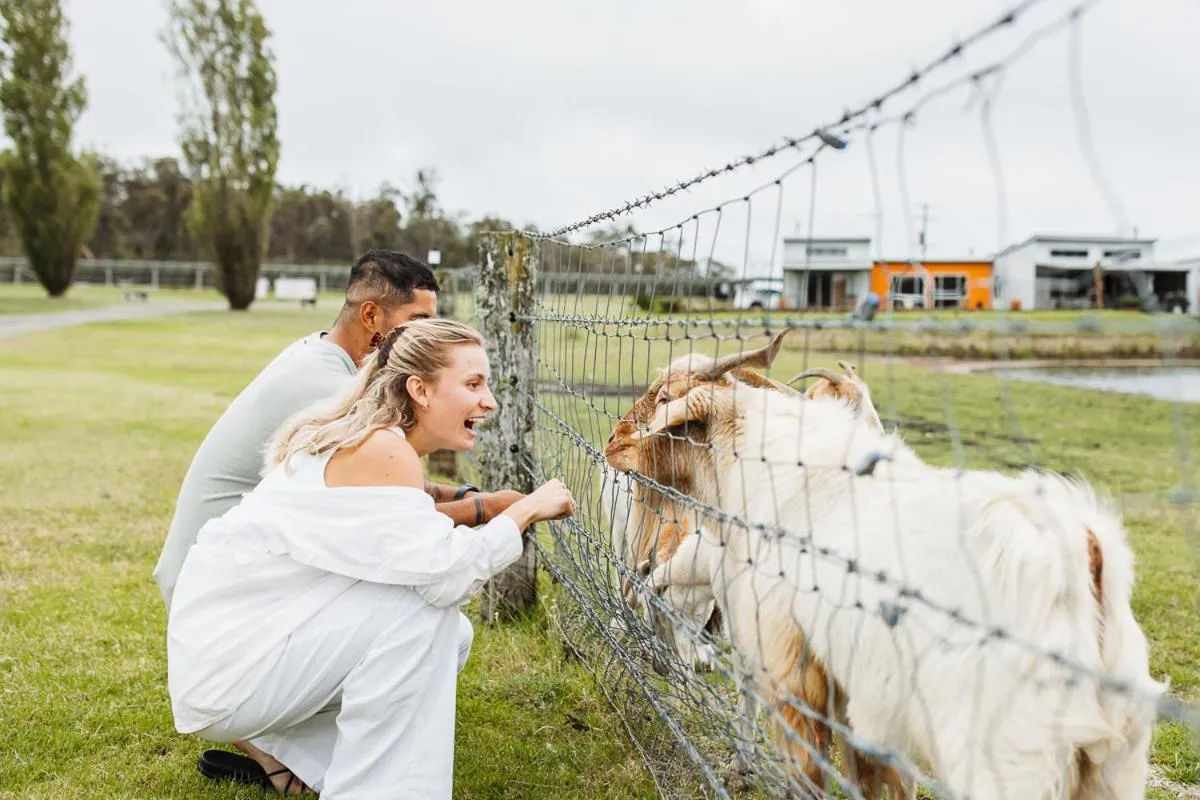 Natural landscape in Ridgemill Estate