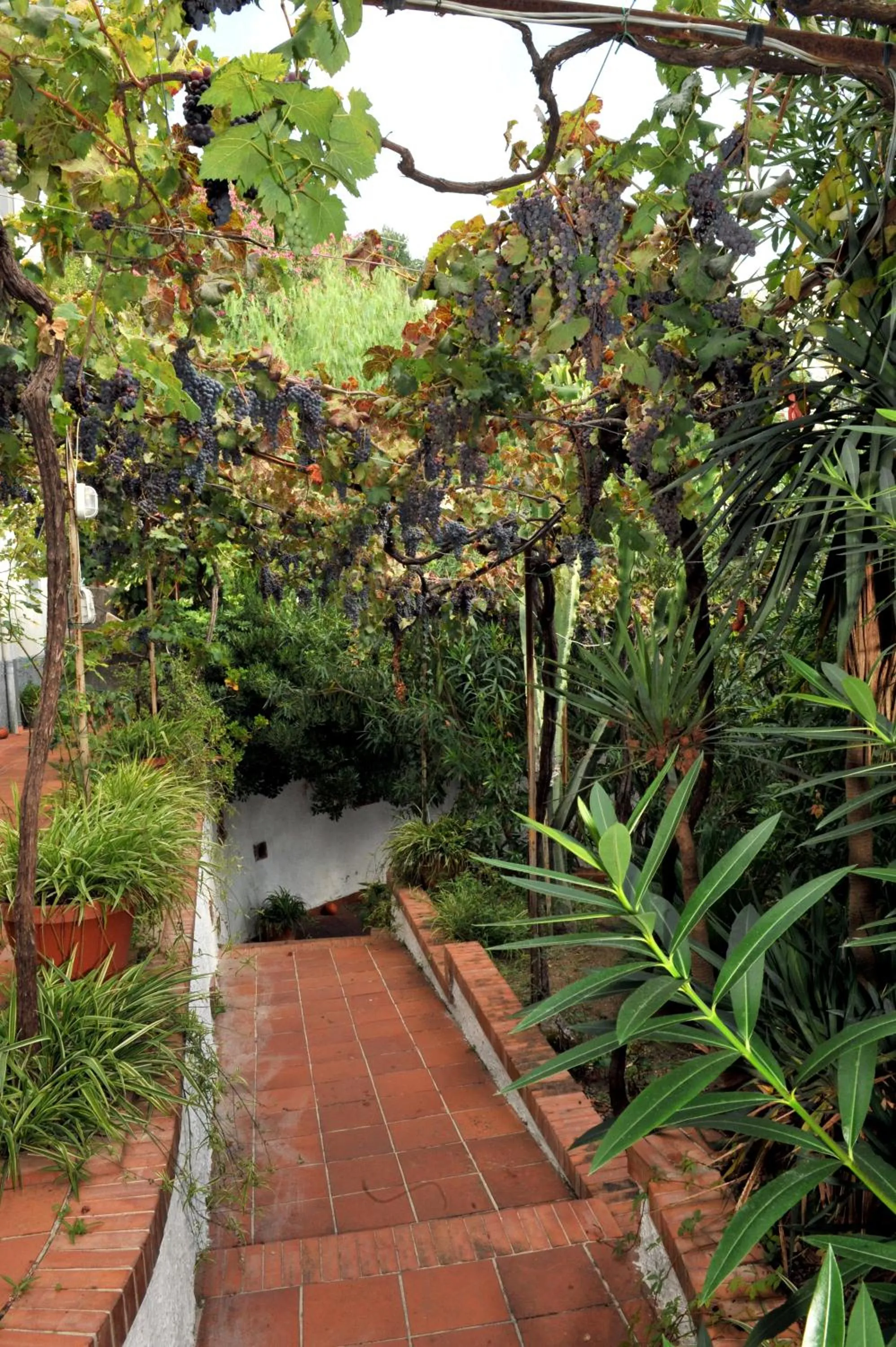 Facade/entrance in Villa Maria Antonietta