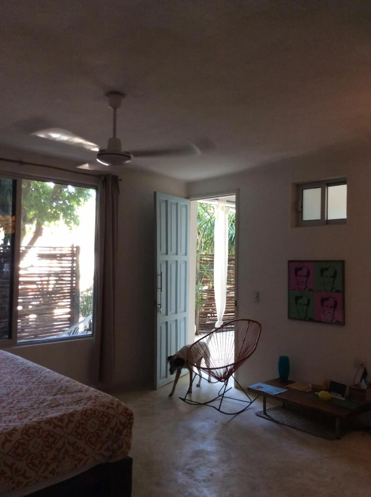 View (from property/room) in Teetotum hotel