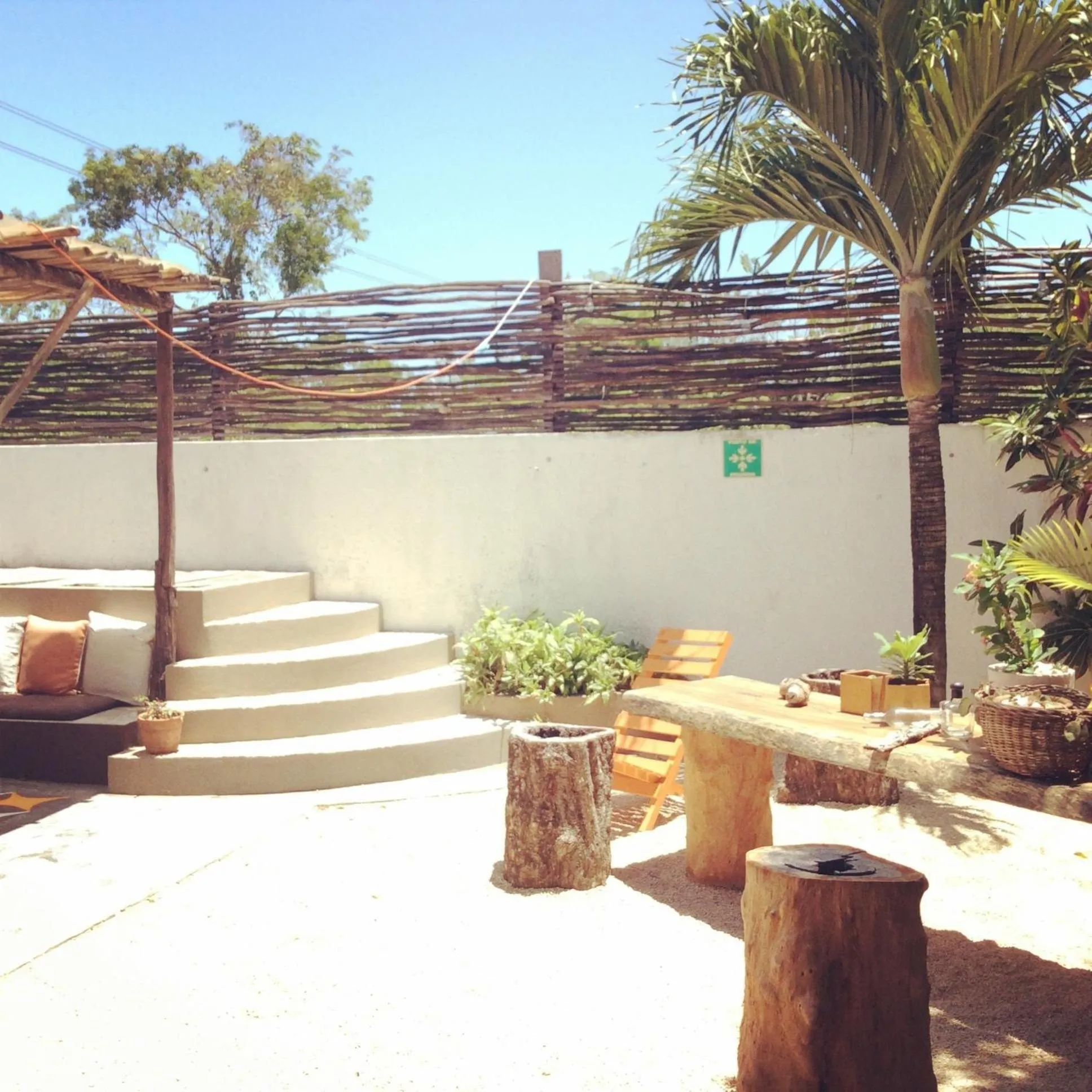 Garden in Teetotum hotel