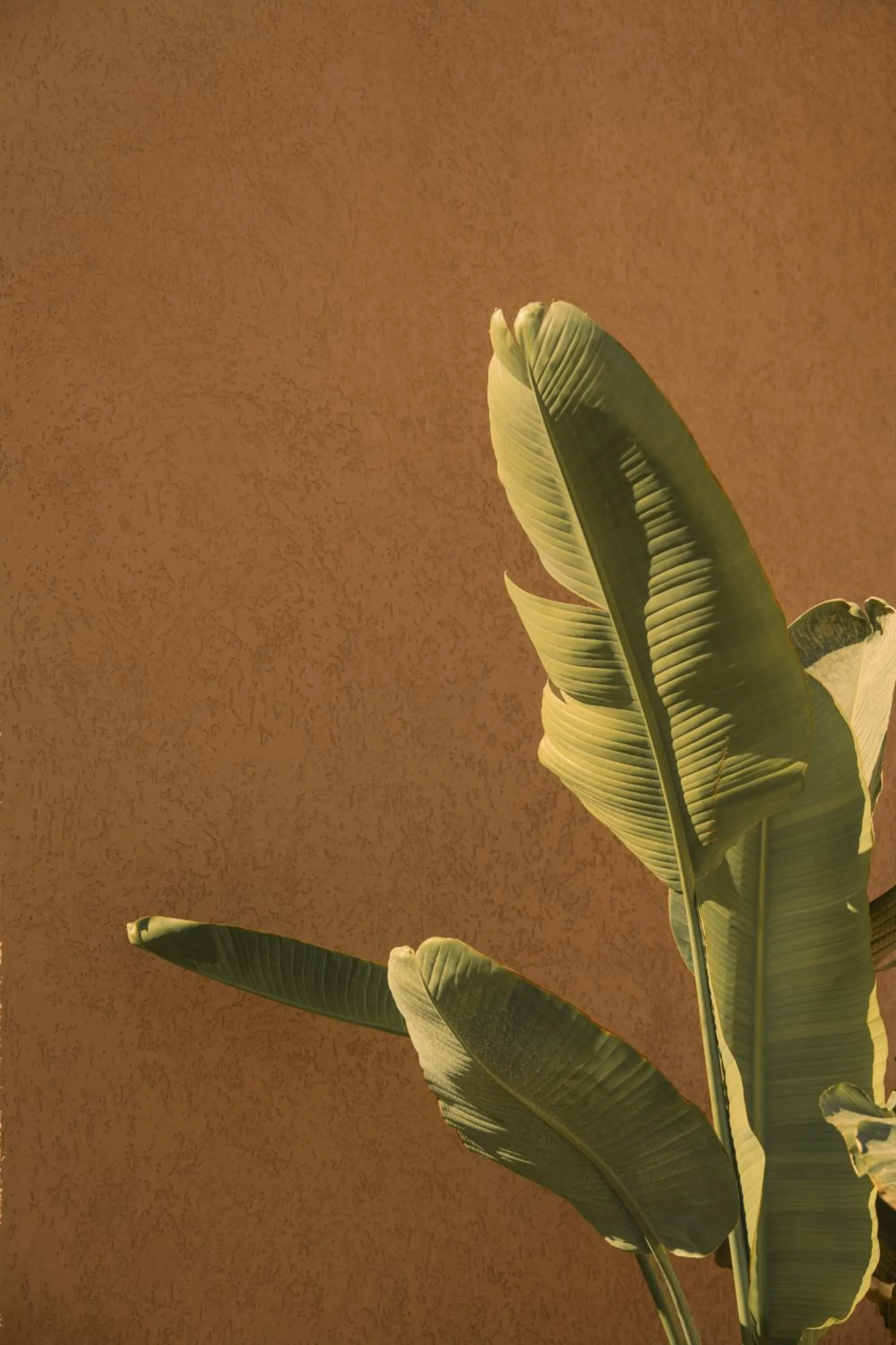 Decorative detail in Silence Villas