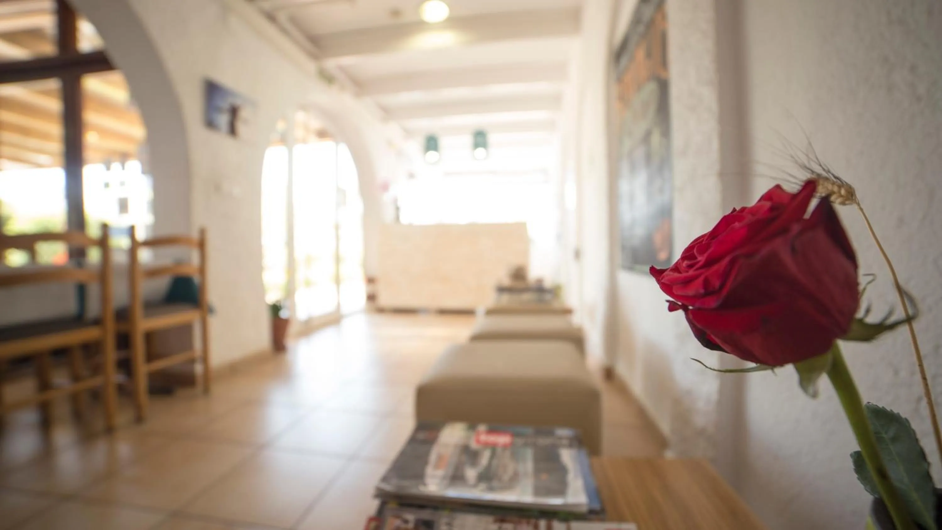 Casa Del Mar Hotel & Apartaments