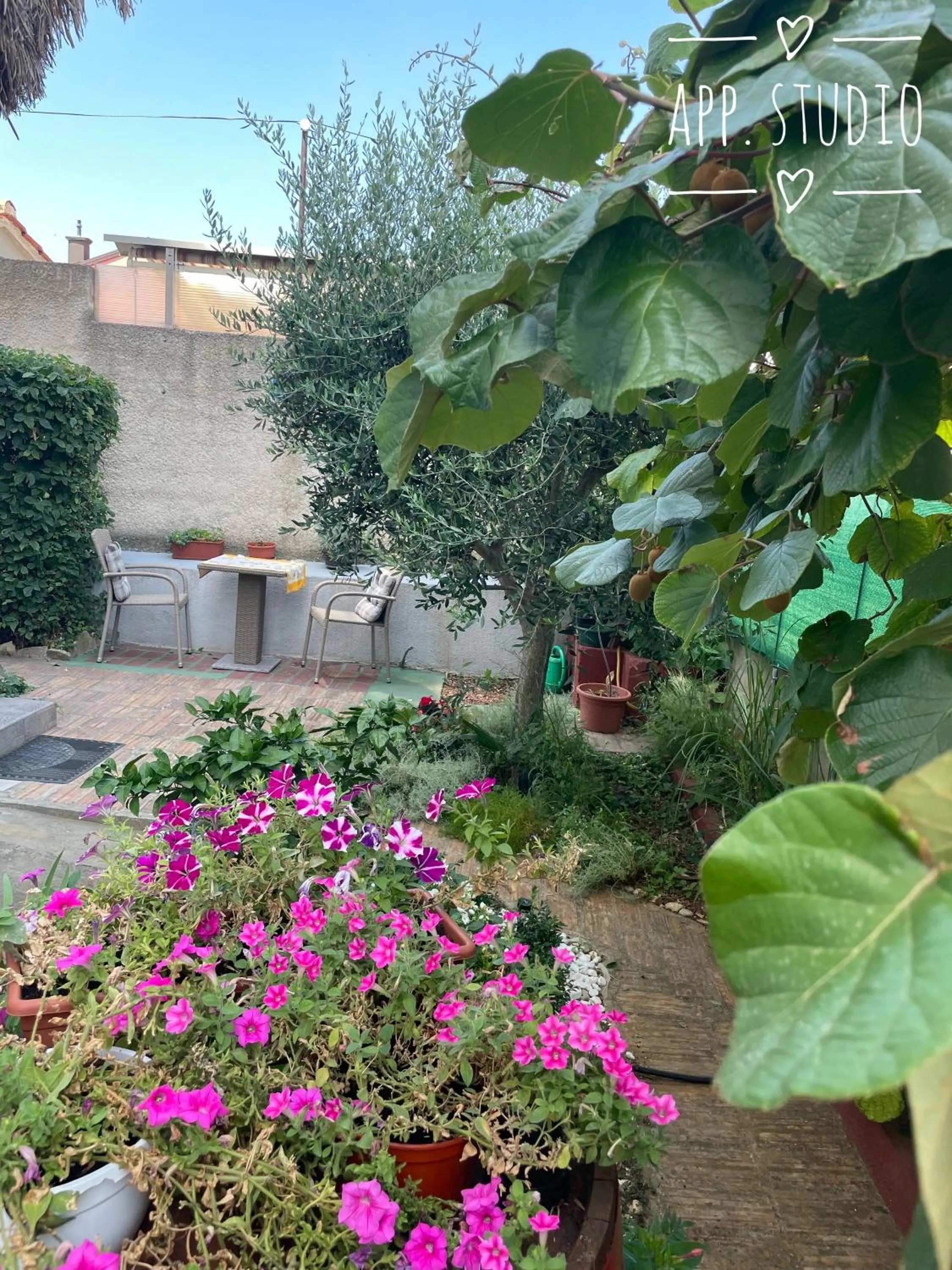 Garden in Apartments Mery