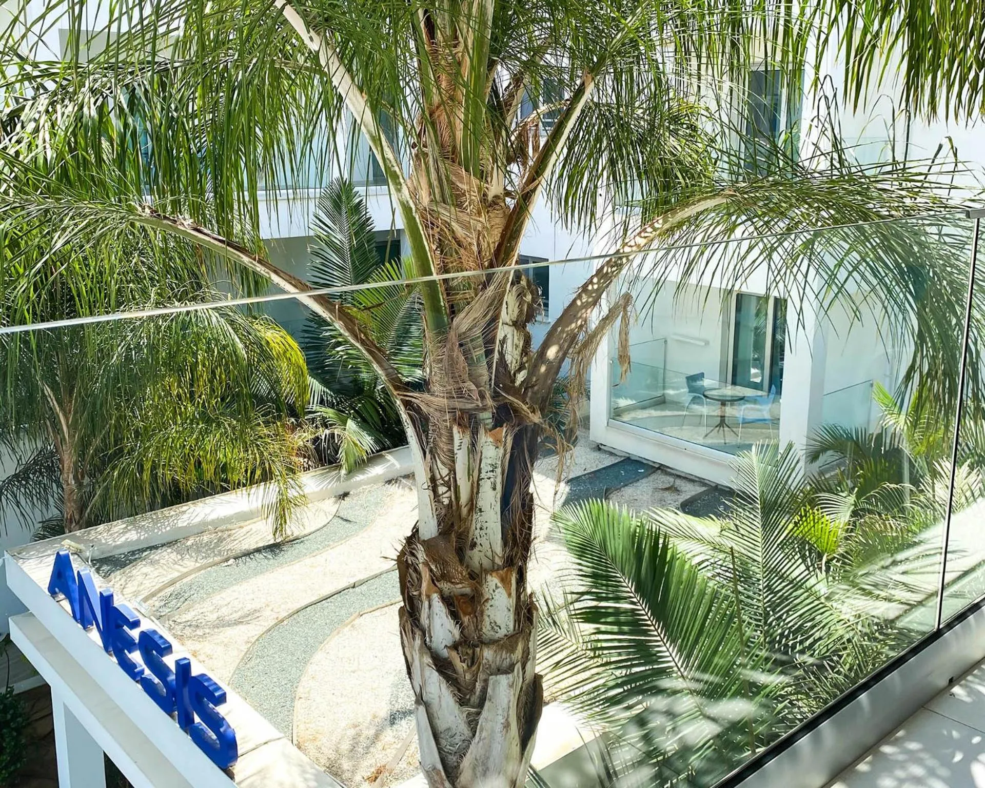 Balcony/Terrace in Anesis Hotel