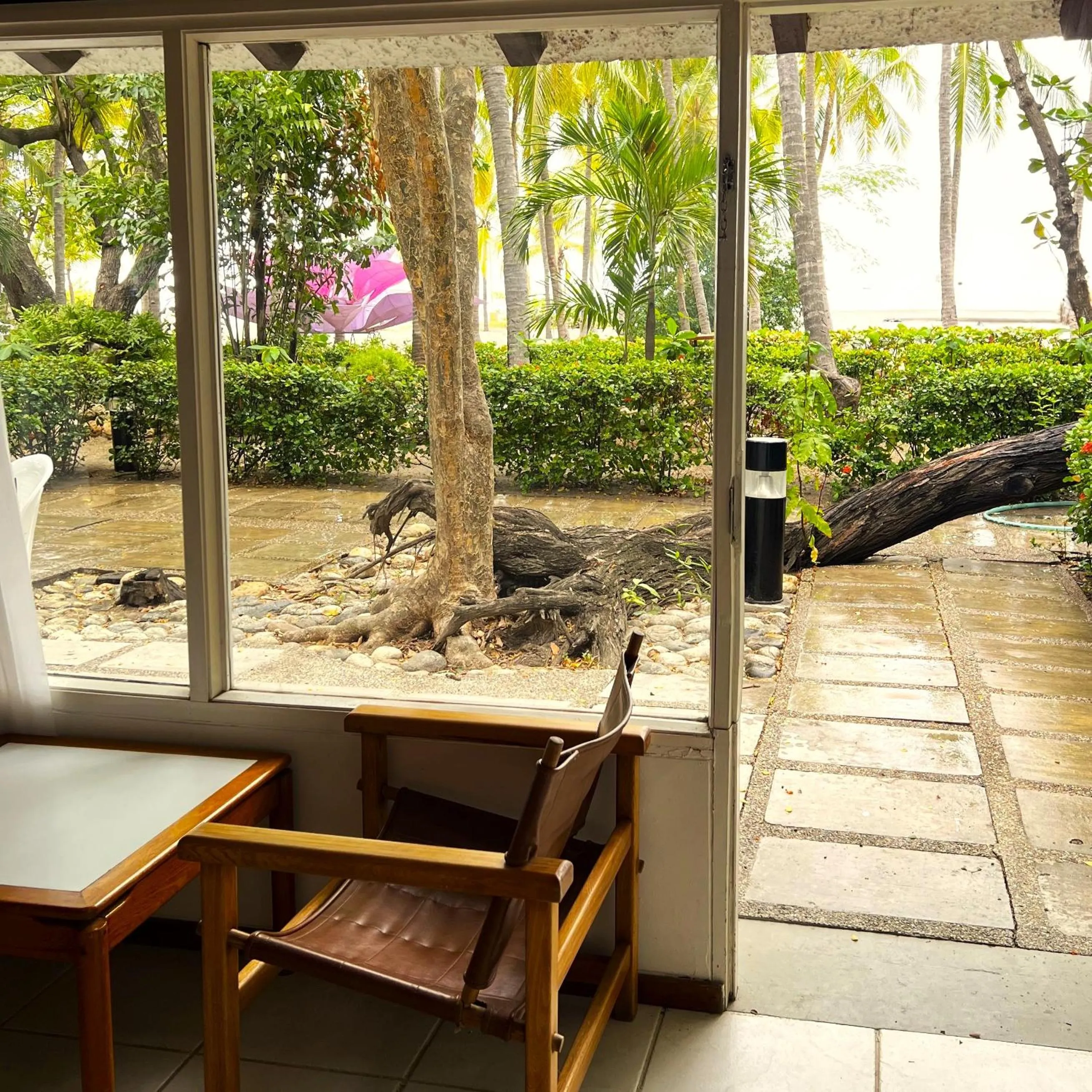 Beach in Hotel Irotama Bungalows & Bohios