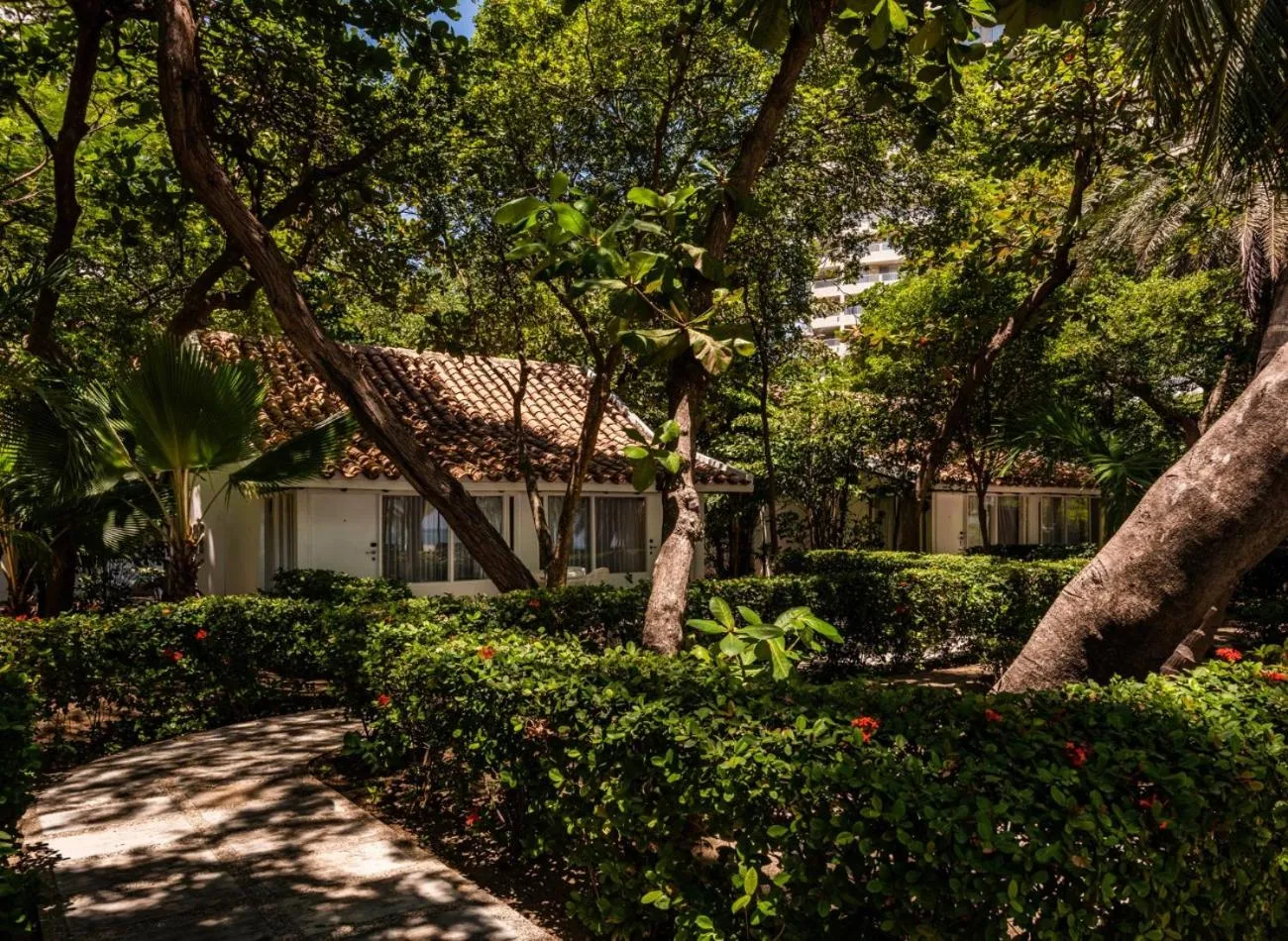 Garden in Hotel Irotama Bungalows & Bohios