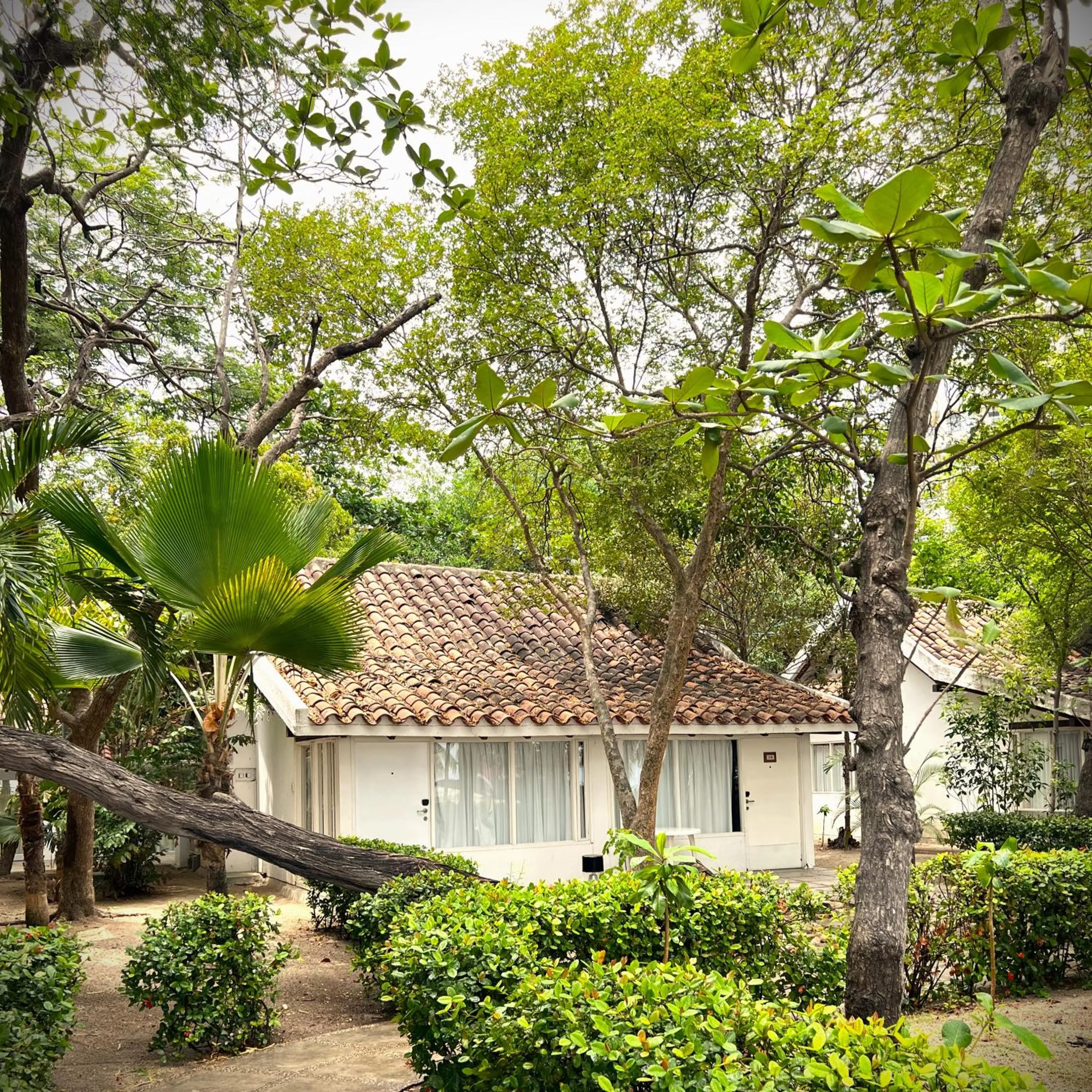 Facade/entrance in Hotel Irotama Bungalows & Bohios