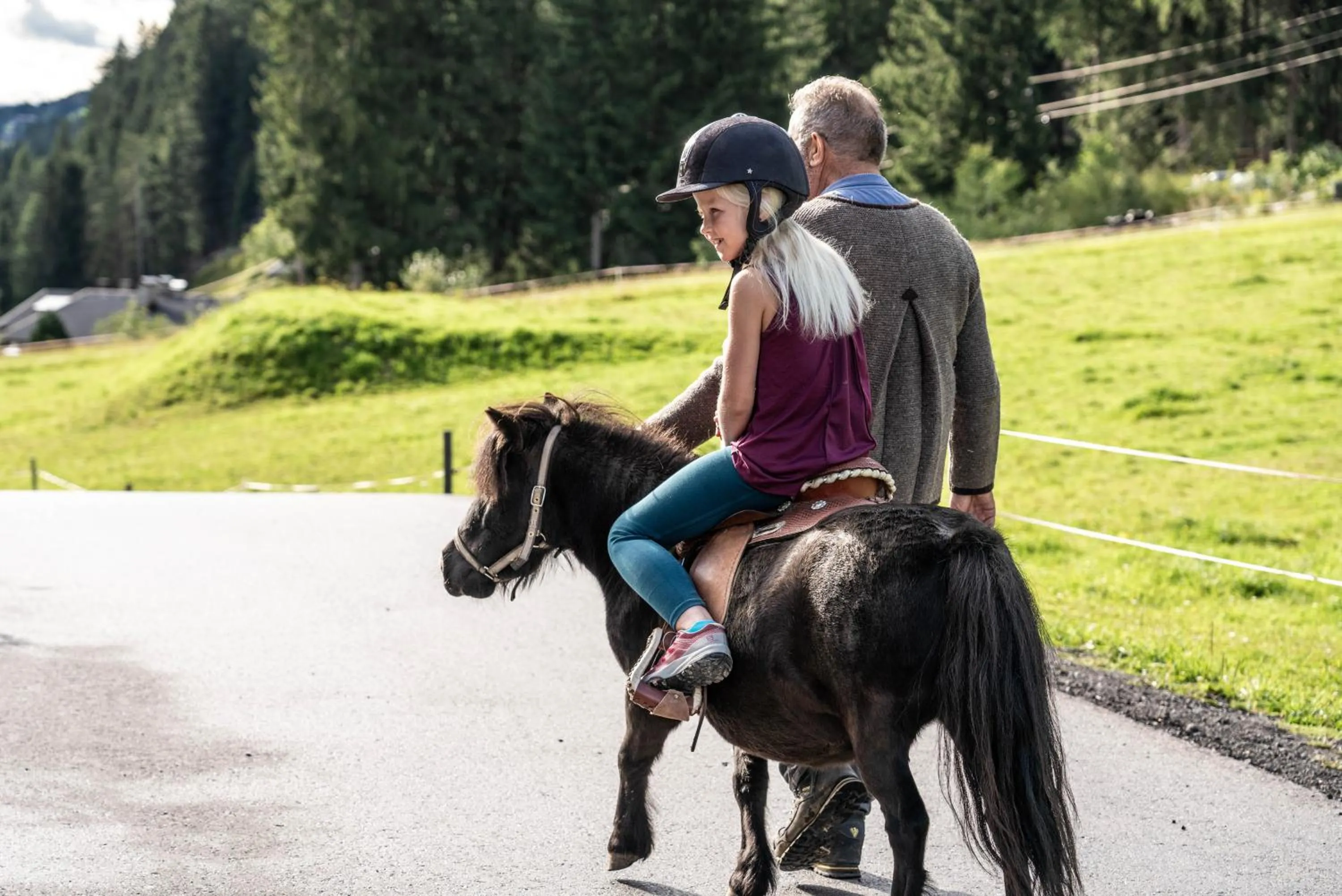Animals in Almfamilyhotel Scherer