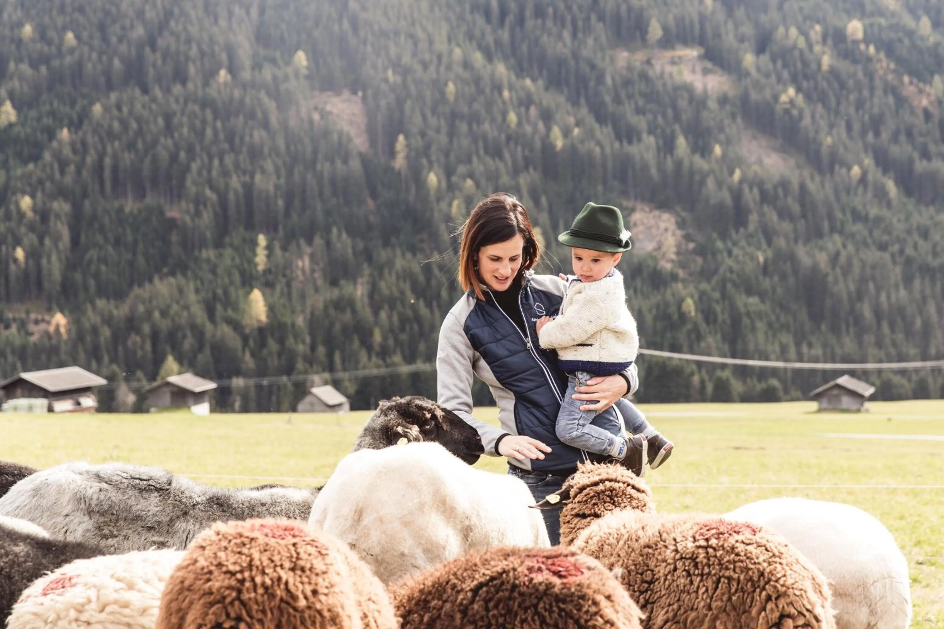 Animals in Almfamilyhotel Scherer