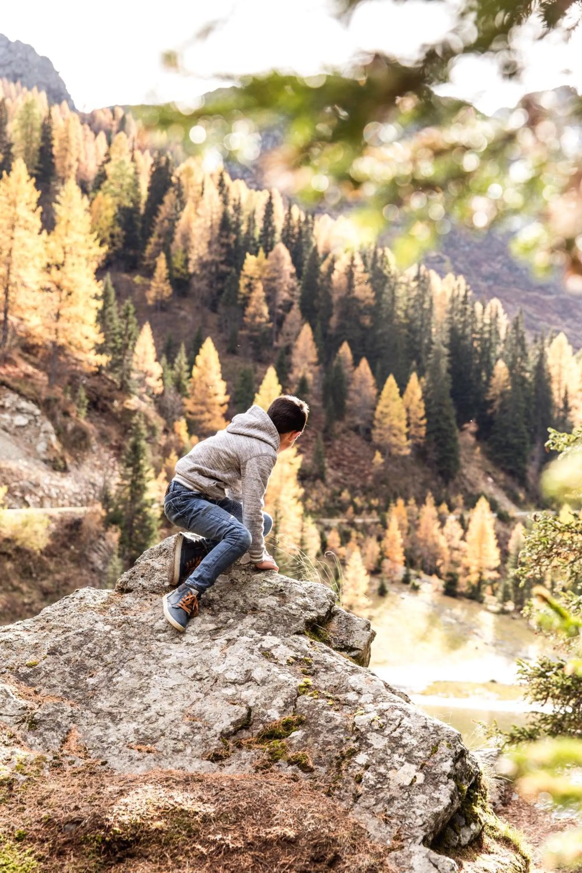 Activities in Almfamilyhotel Scherer