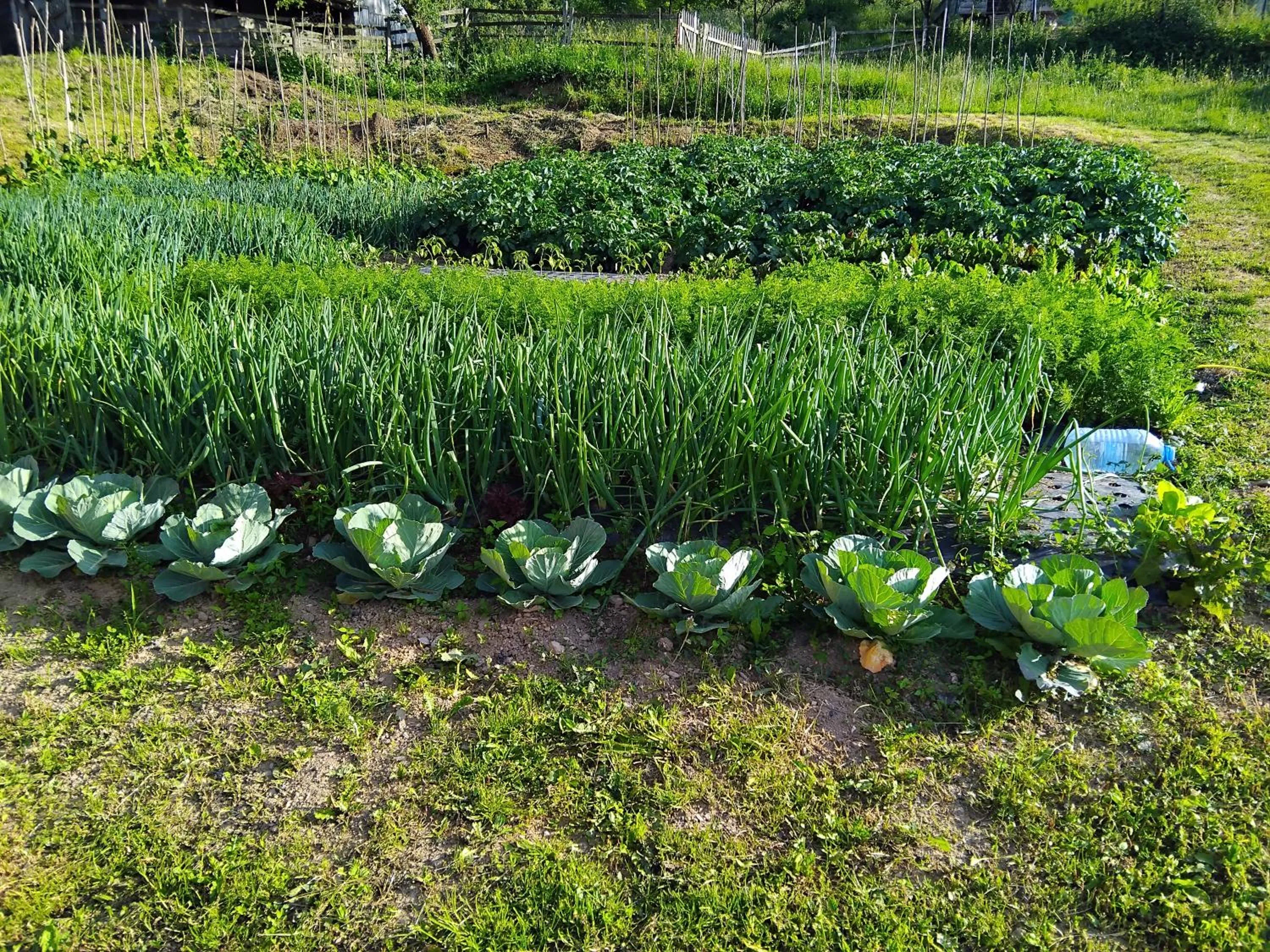 Day in ECO ViLLAGE CORIC