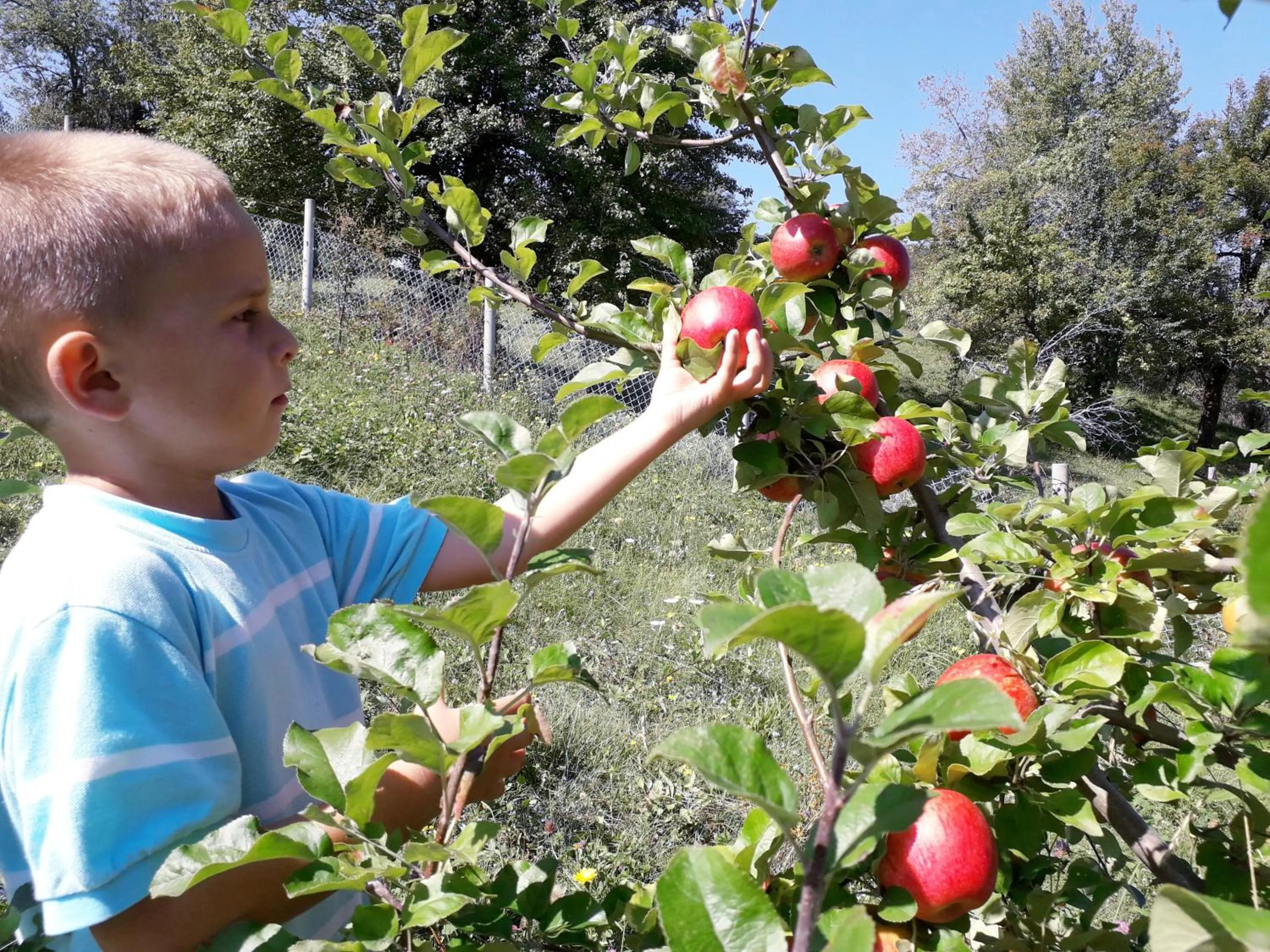 young children in ECO ViLLAGE CORIC