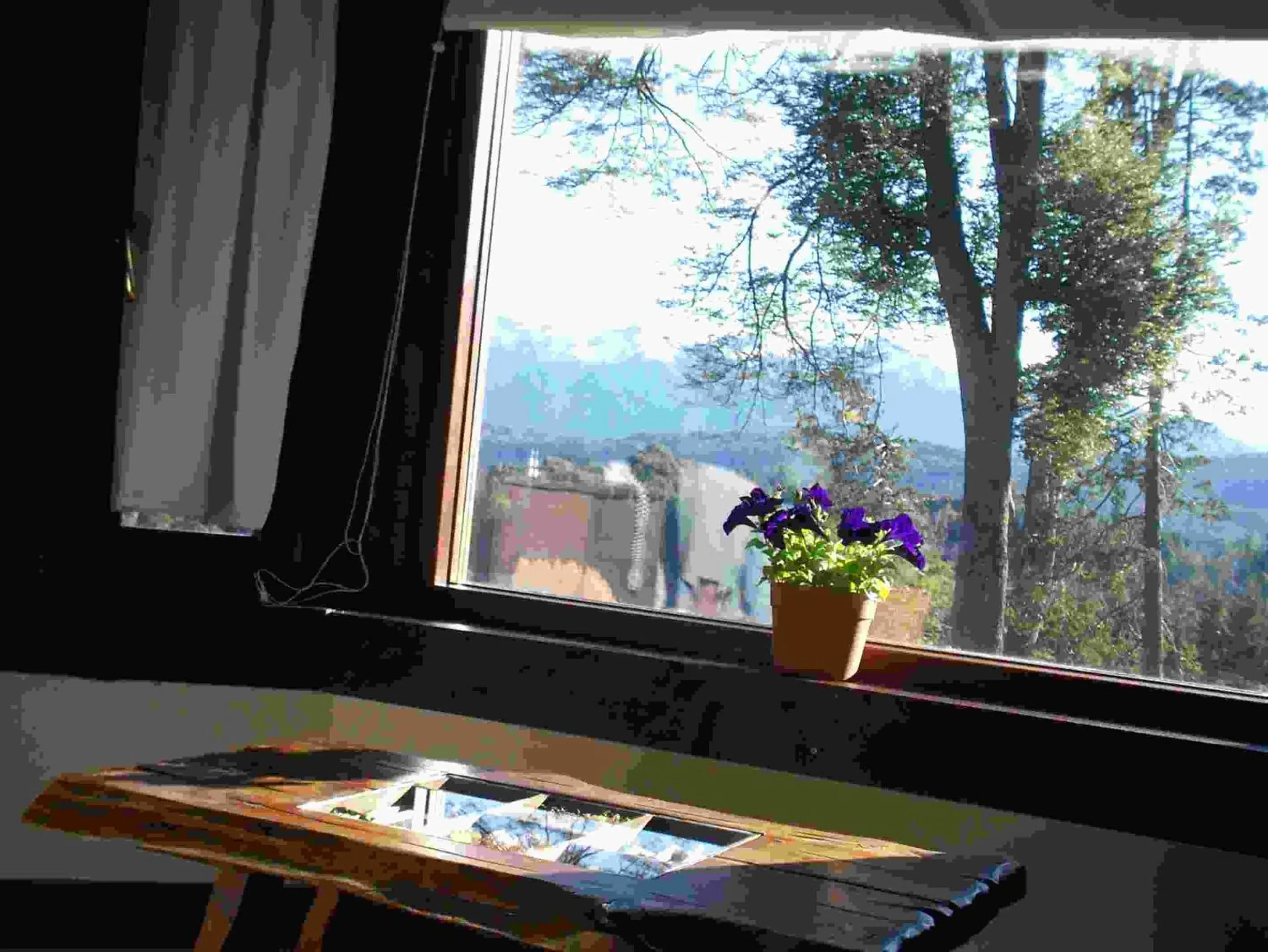 Hosteria Naranjo en Flor